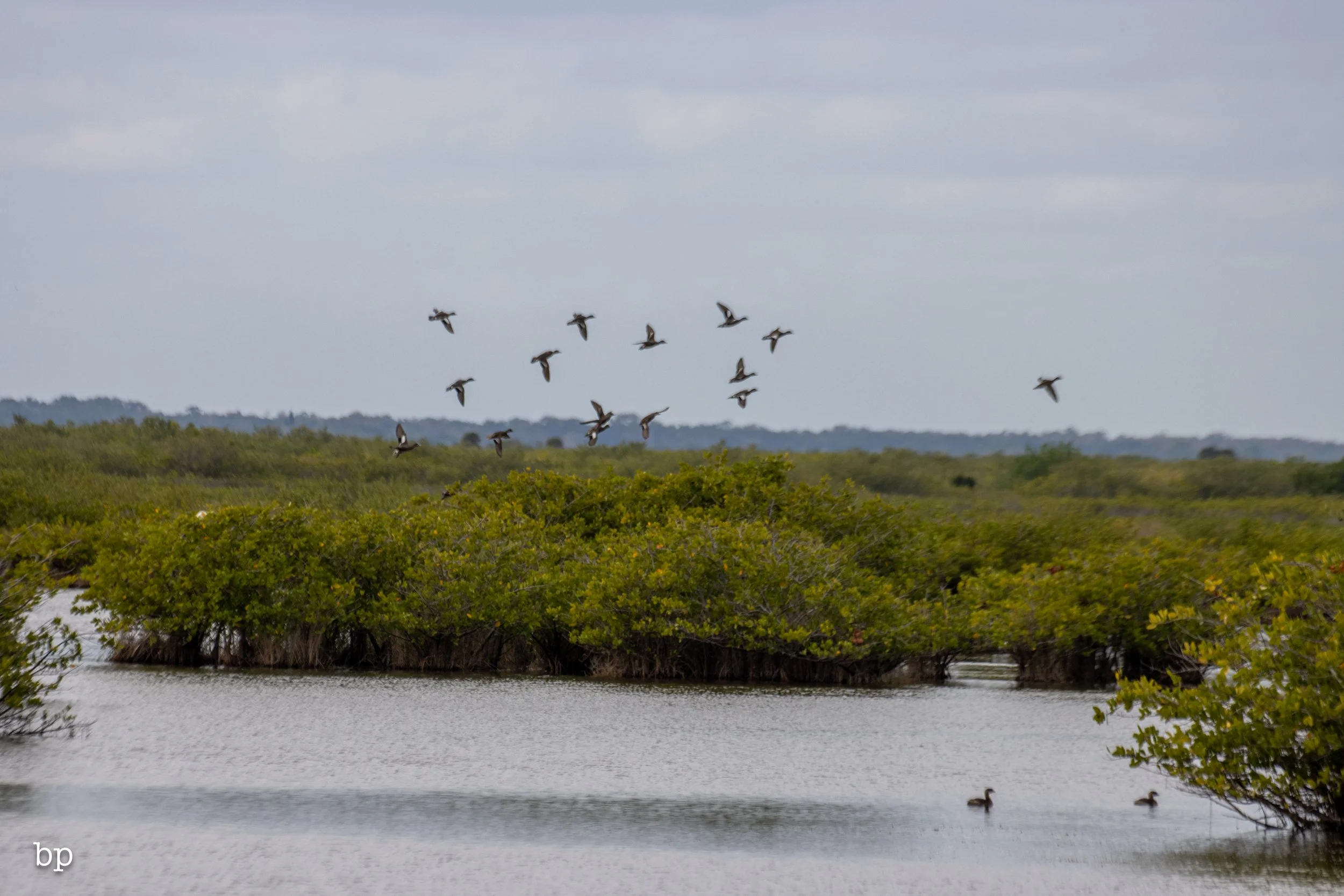 set_1209_cshore_142 (1 of 1).jpg