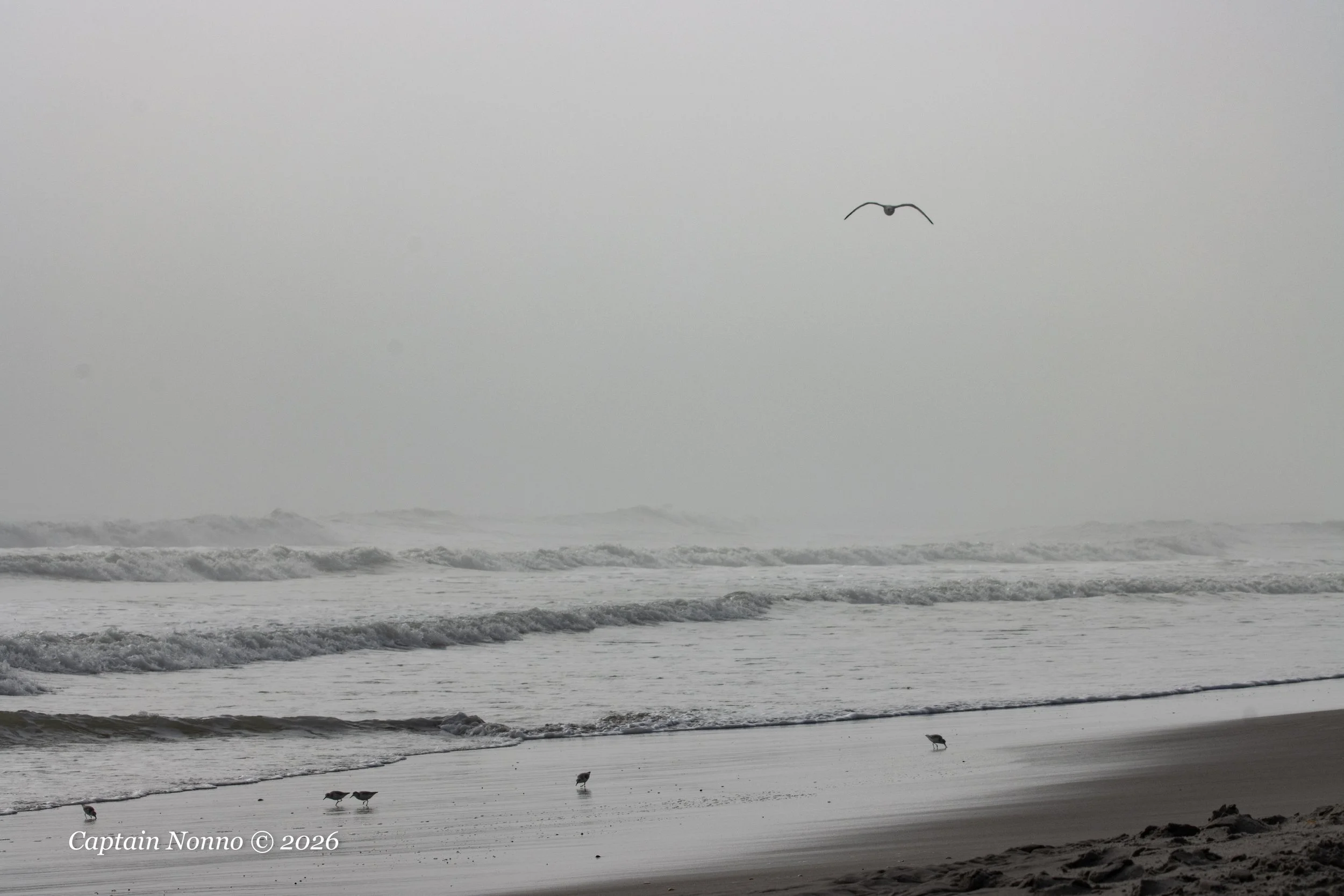 012226_206 (1 of 1).jpg