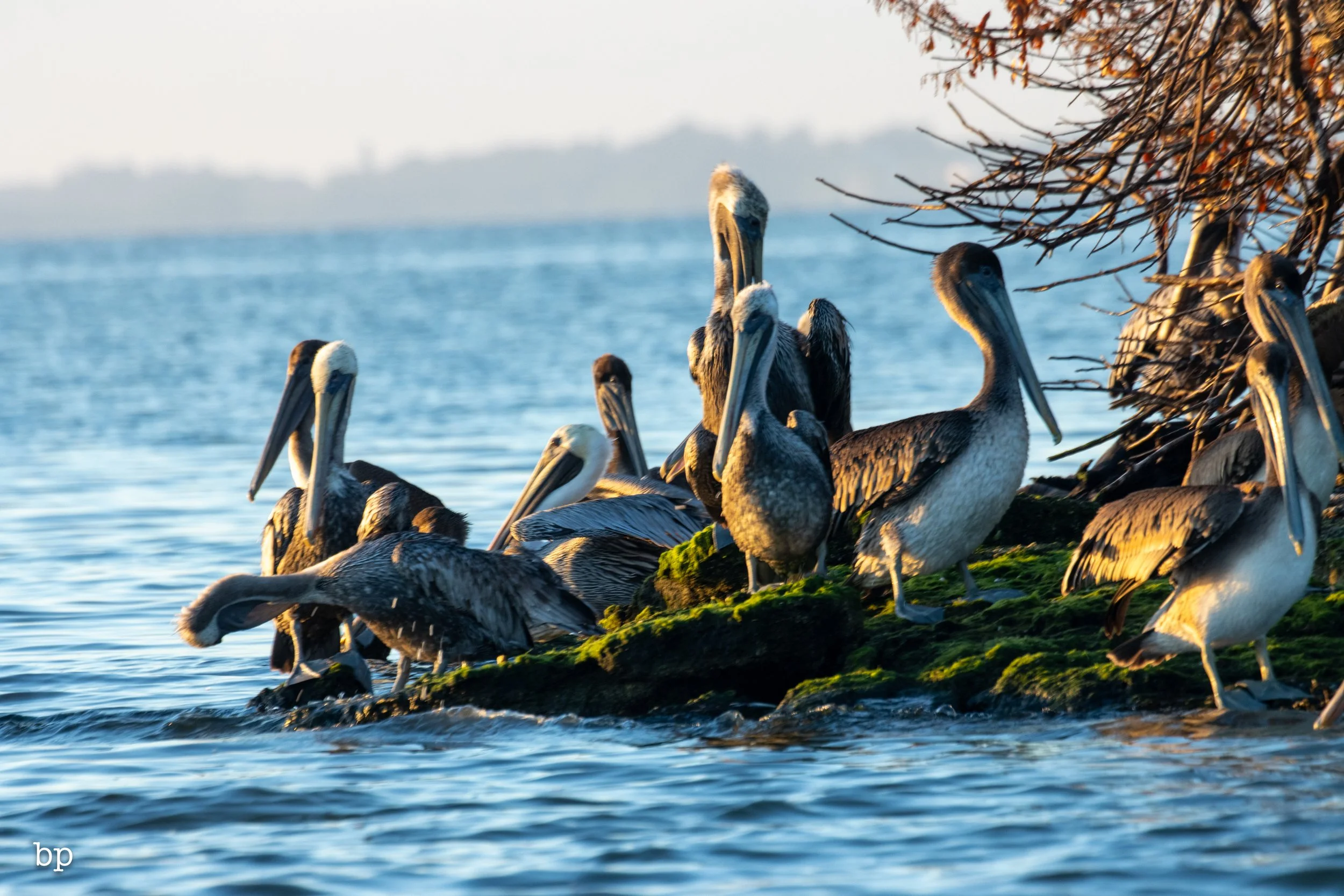 10_21_rise_11 (1 of 1).jpg