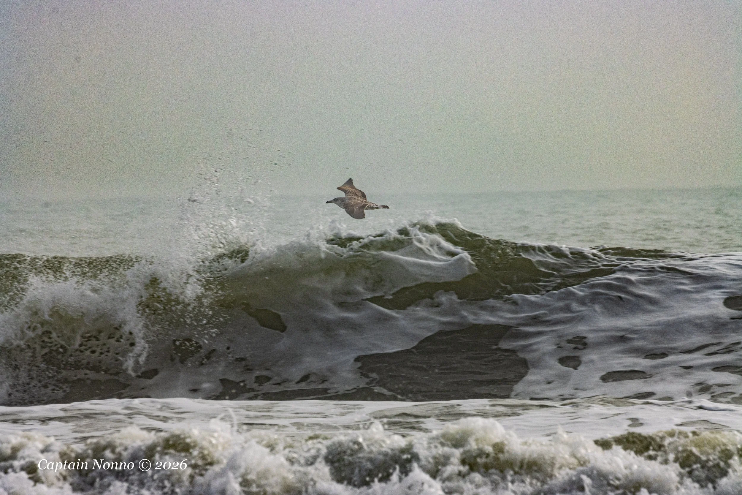 012226_189 (1 of 1).jpg