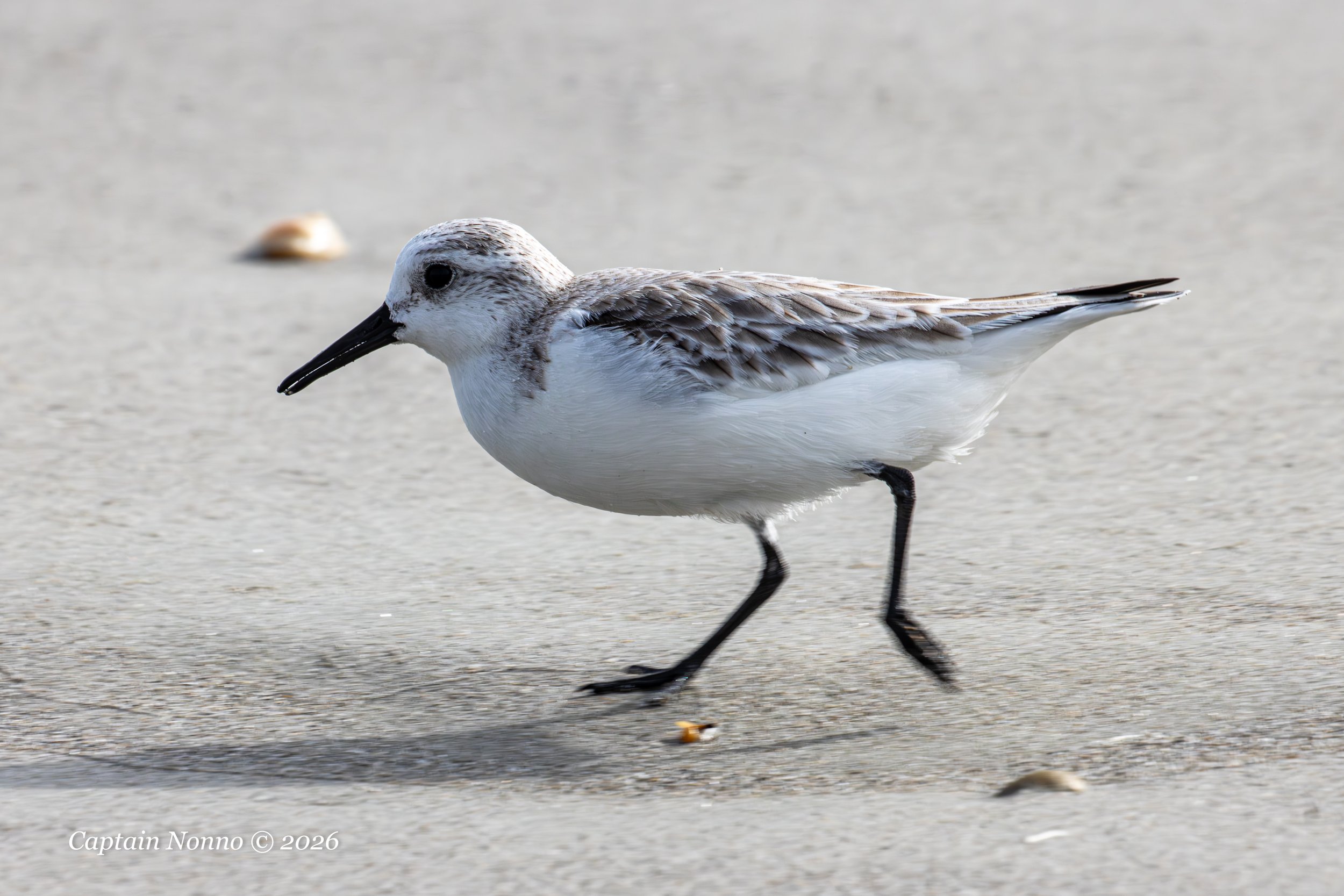 012226_172 (1 of 1).jpg