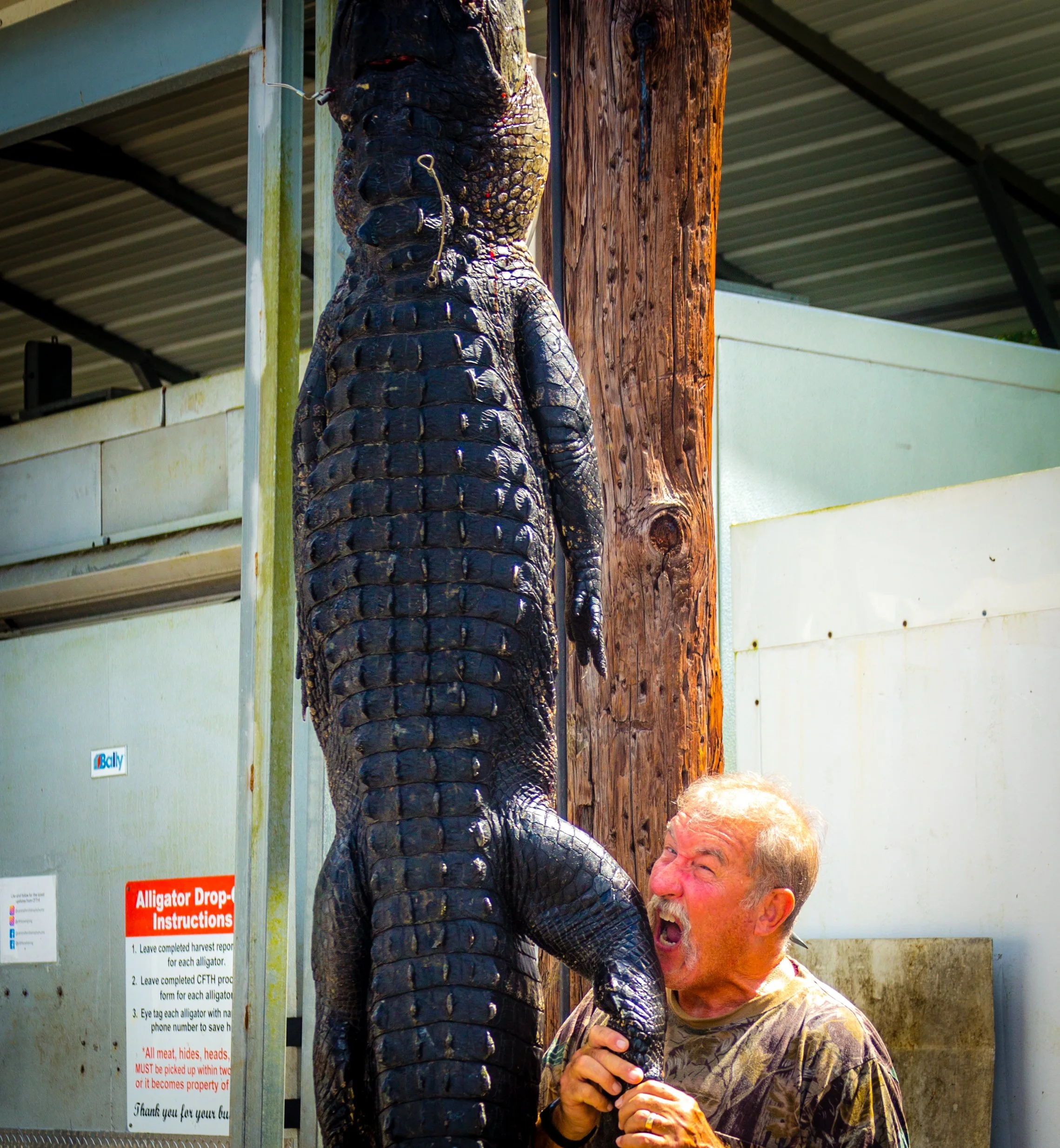 gator_04 (1 of 1).jpg