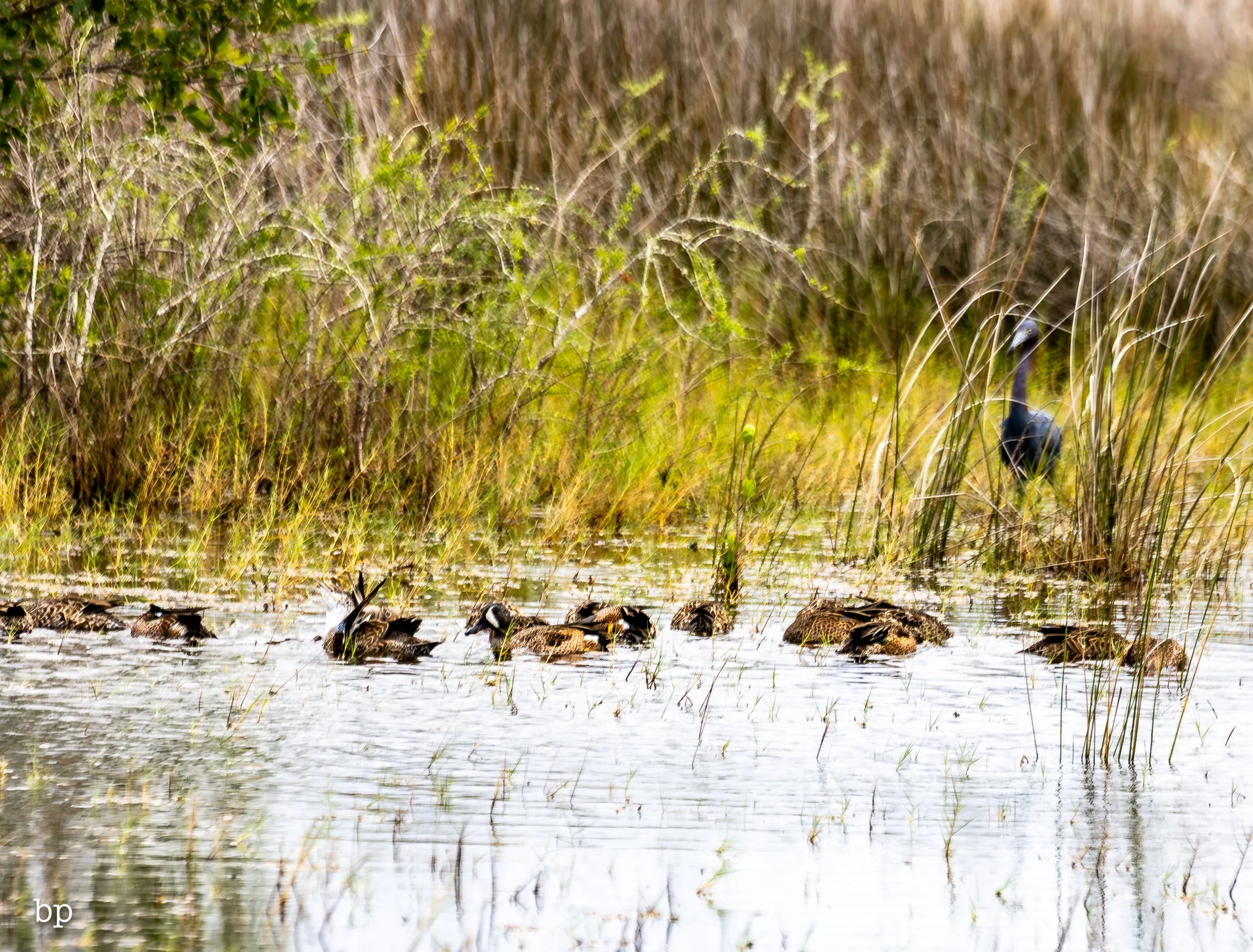 set_1209_cshore_112 (1 of 1).jpg