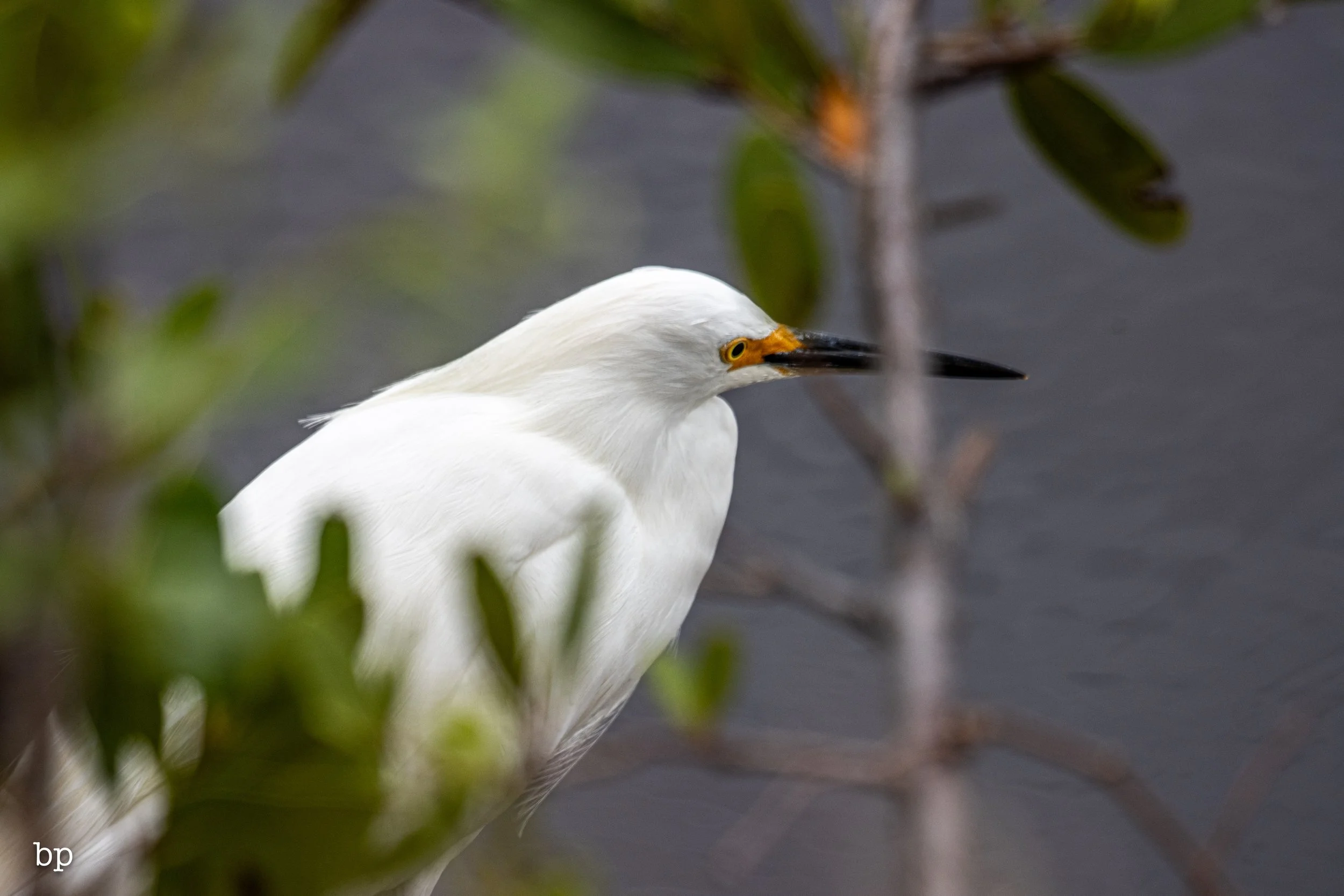 set_1209_cshore_131 (1 of 1).jpg