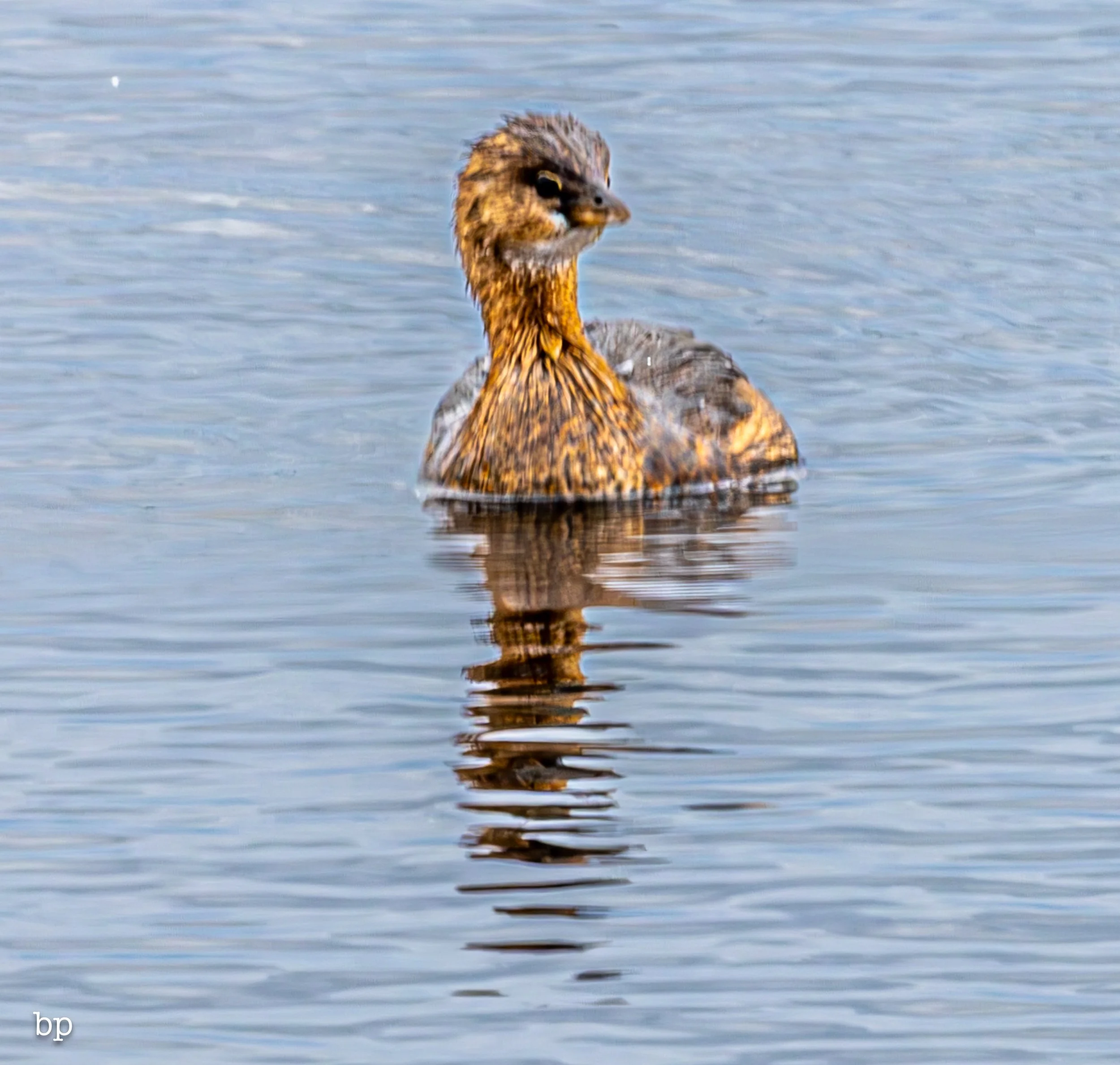 set_1209_cshore_114 (1 of 1).jpg