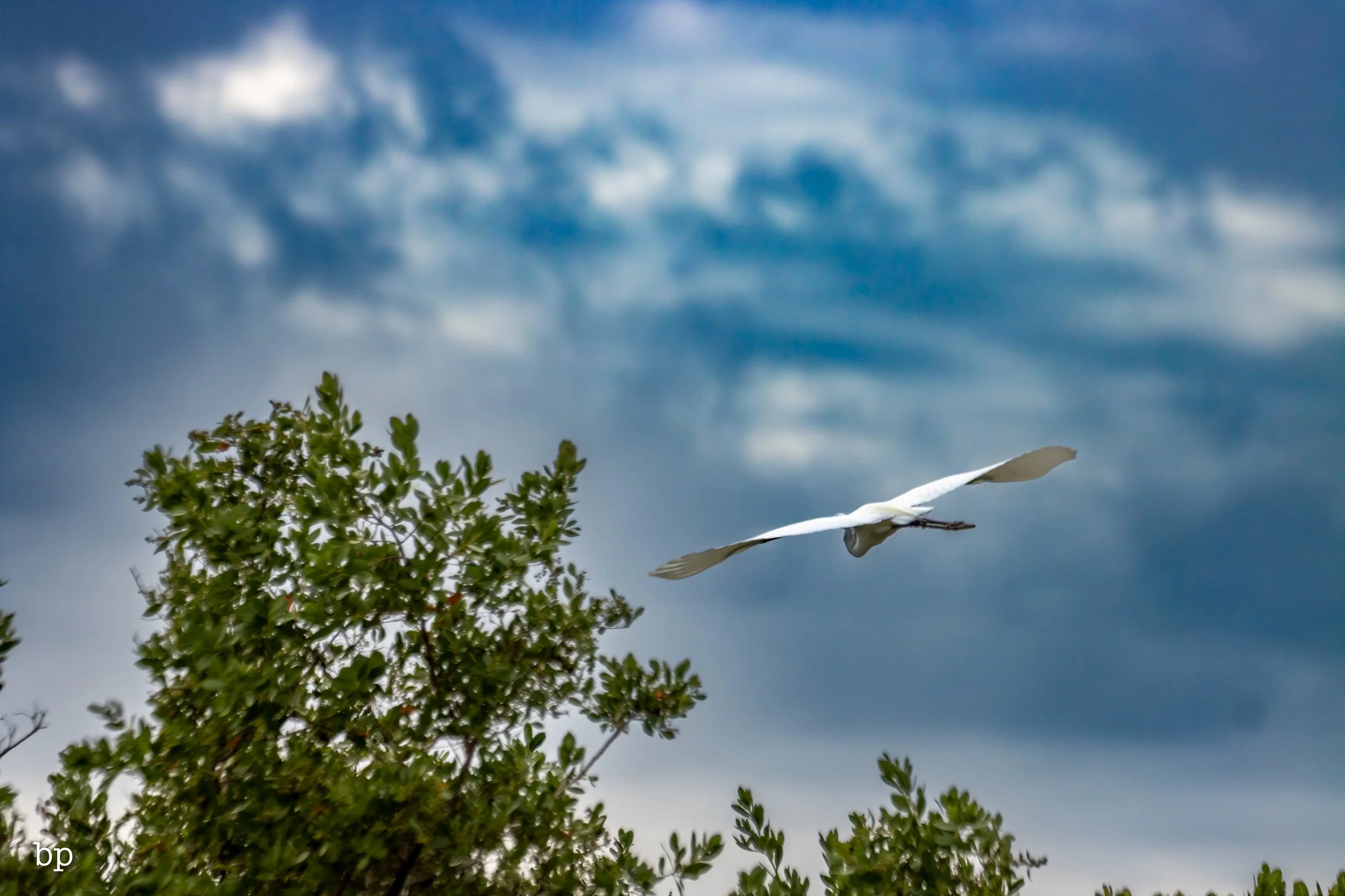 set_1209_cshore_82 (1 of 1).jpg