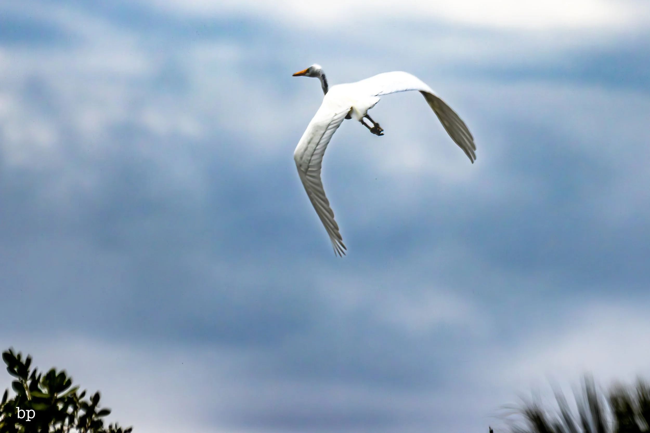 set_1209_cshore_81 (1 of 1).jpg