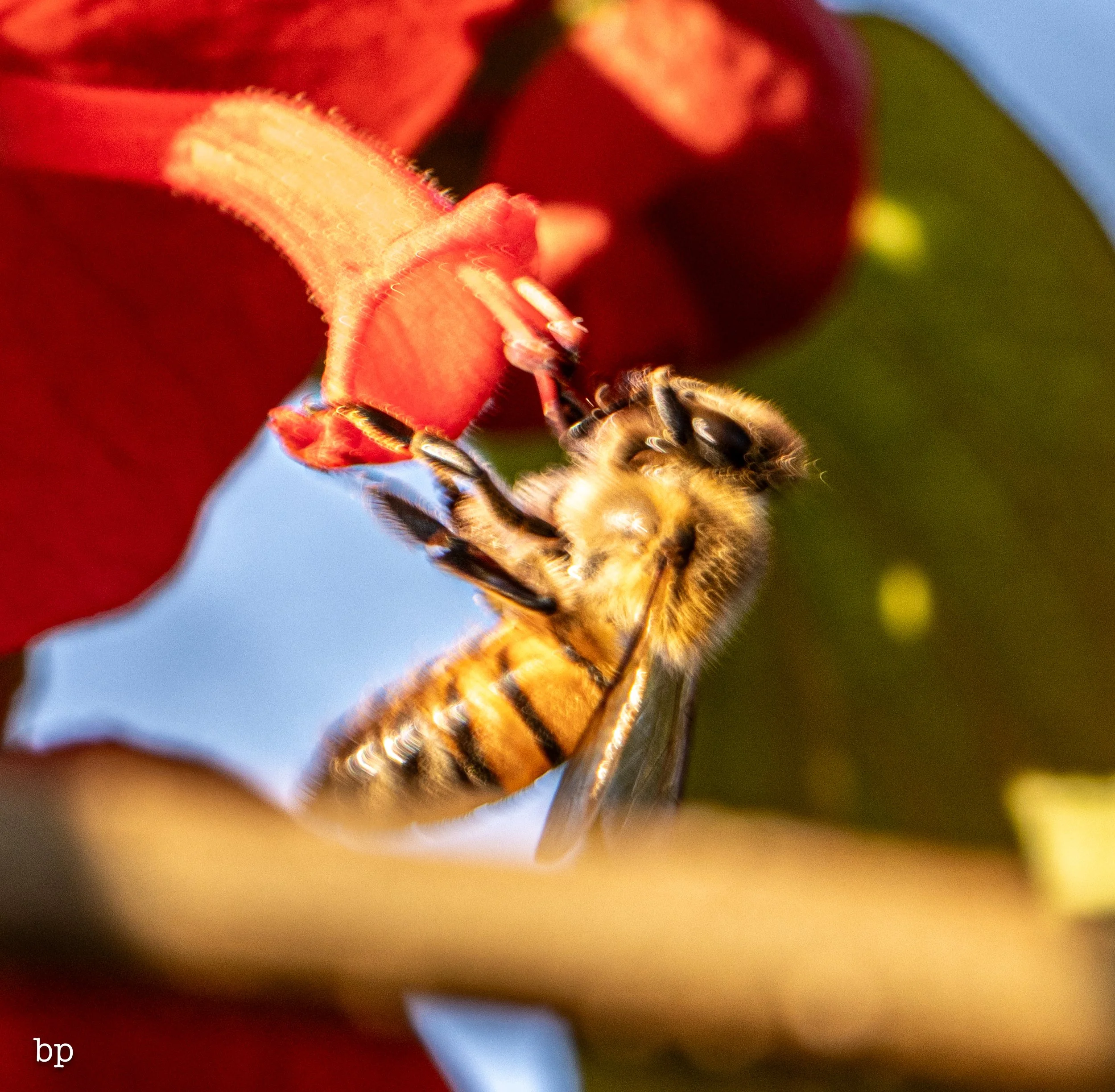 set_112525_037 (1 of 1).jpg