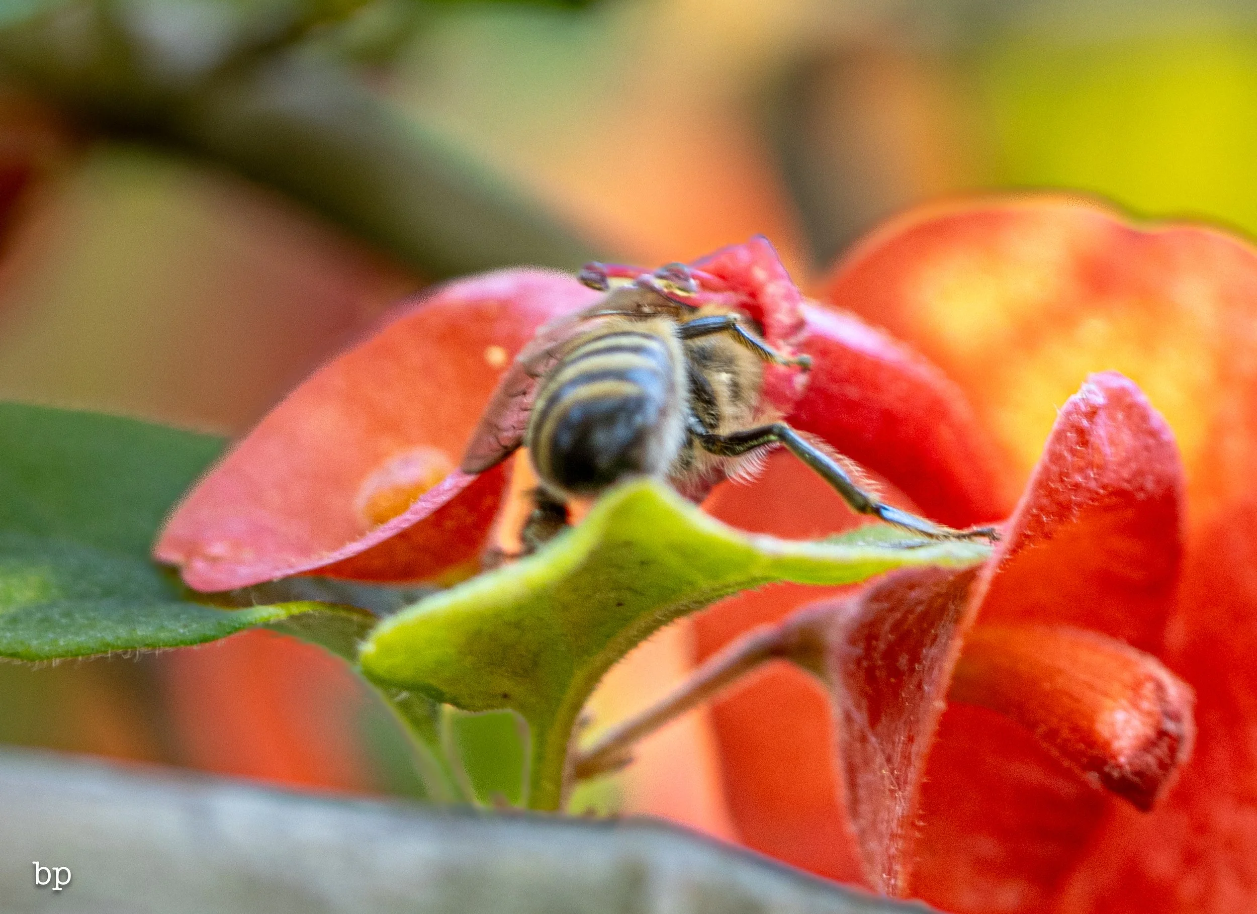 set_112525_035 (1 of 1).jpg