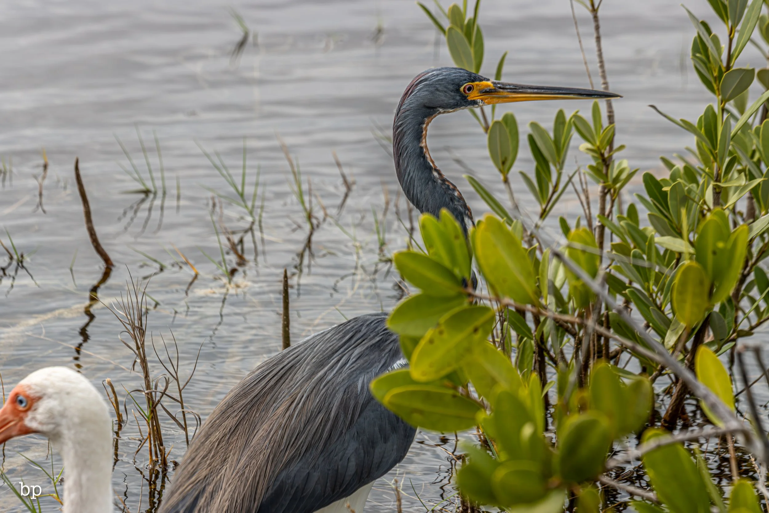 set_1209_cshore_92 (1 of 1).jpg