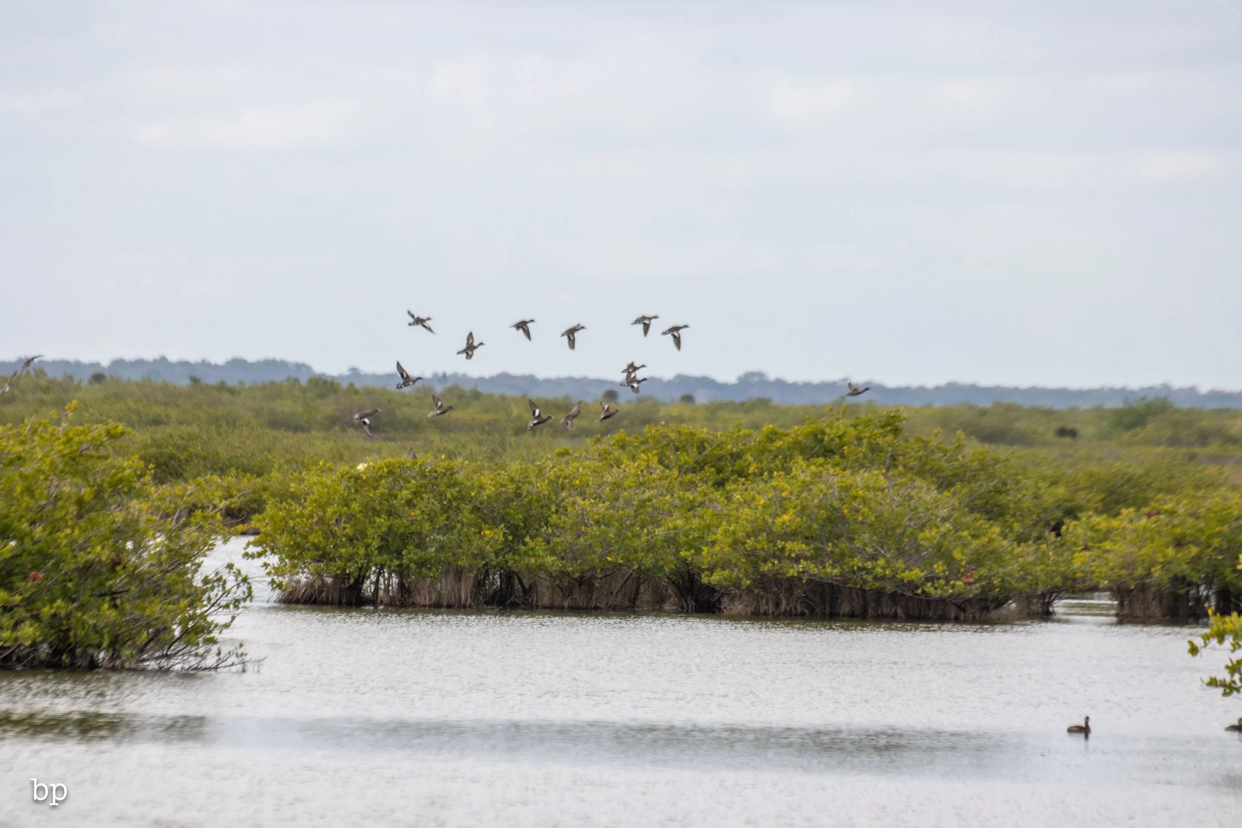 set_1209_cshore_141 (1 of 1).jpg