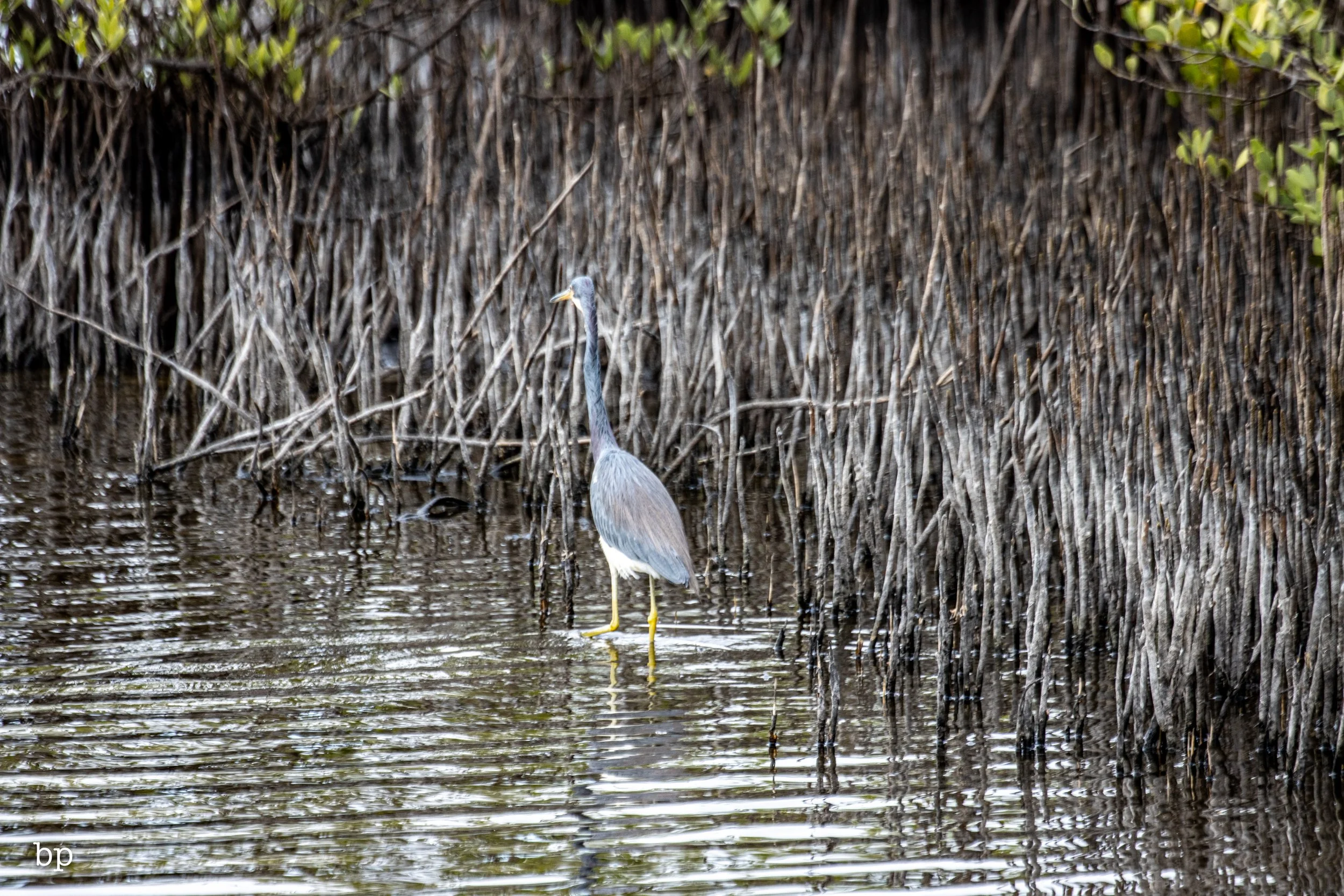 set_1209_cshore_127 (1 of 1).jpg