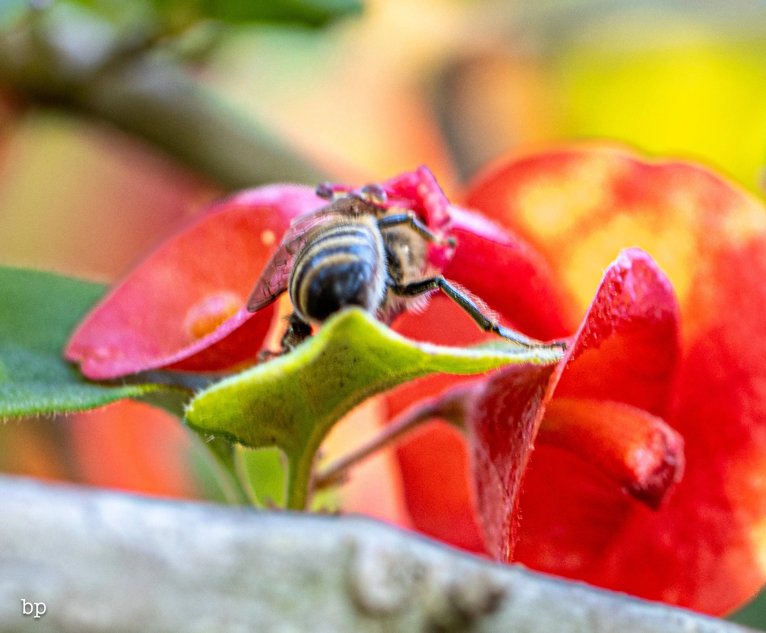 set_112525_034 (1 of 1).jpg