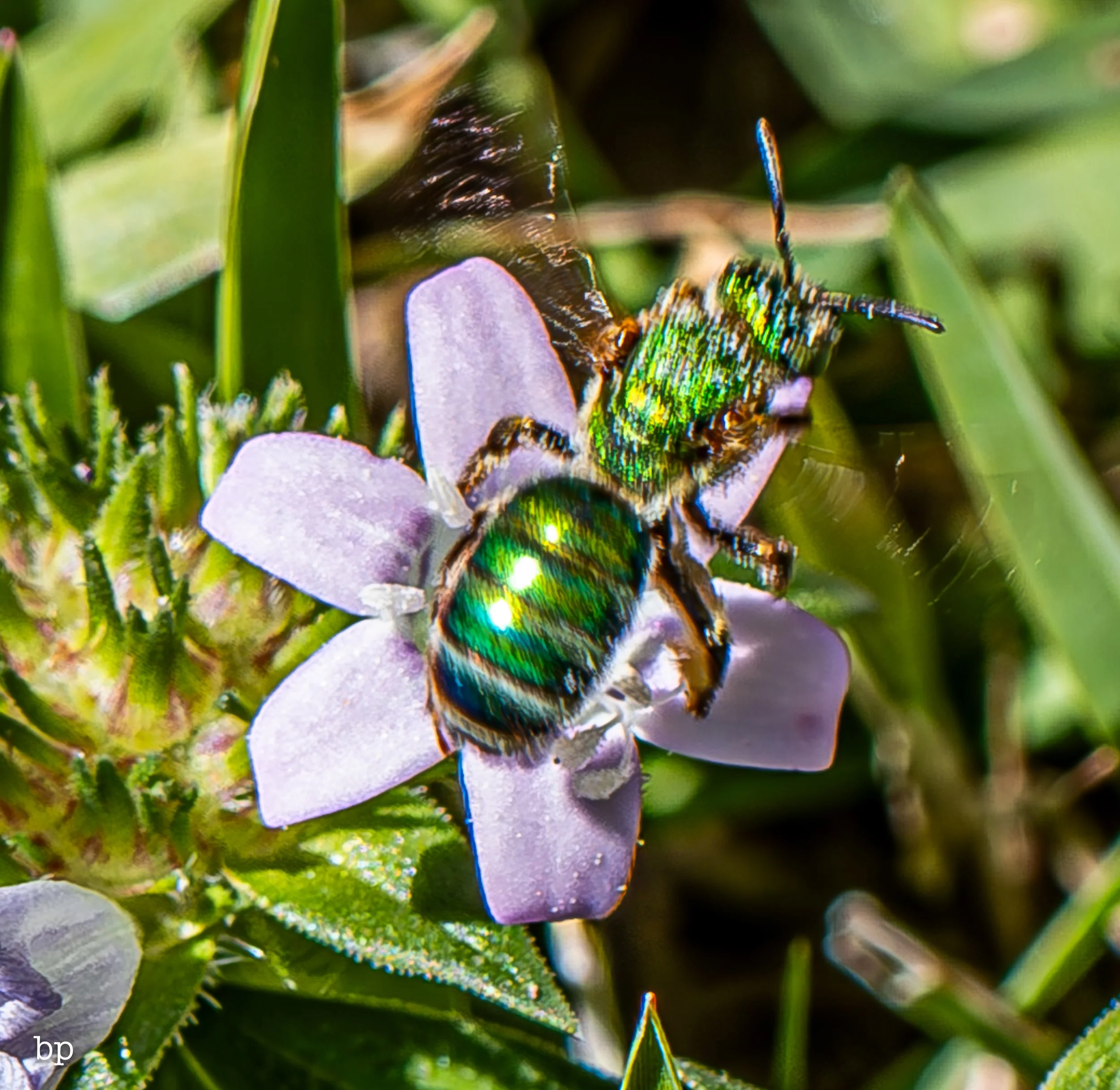 10_28_butter_165 (1 of 1).jpg