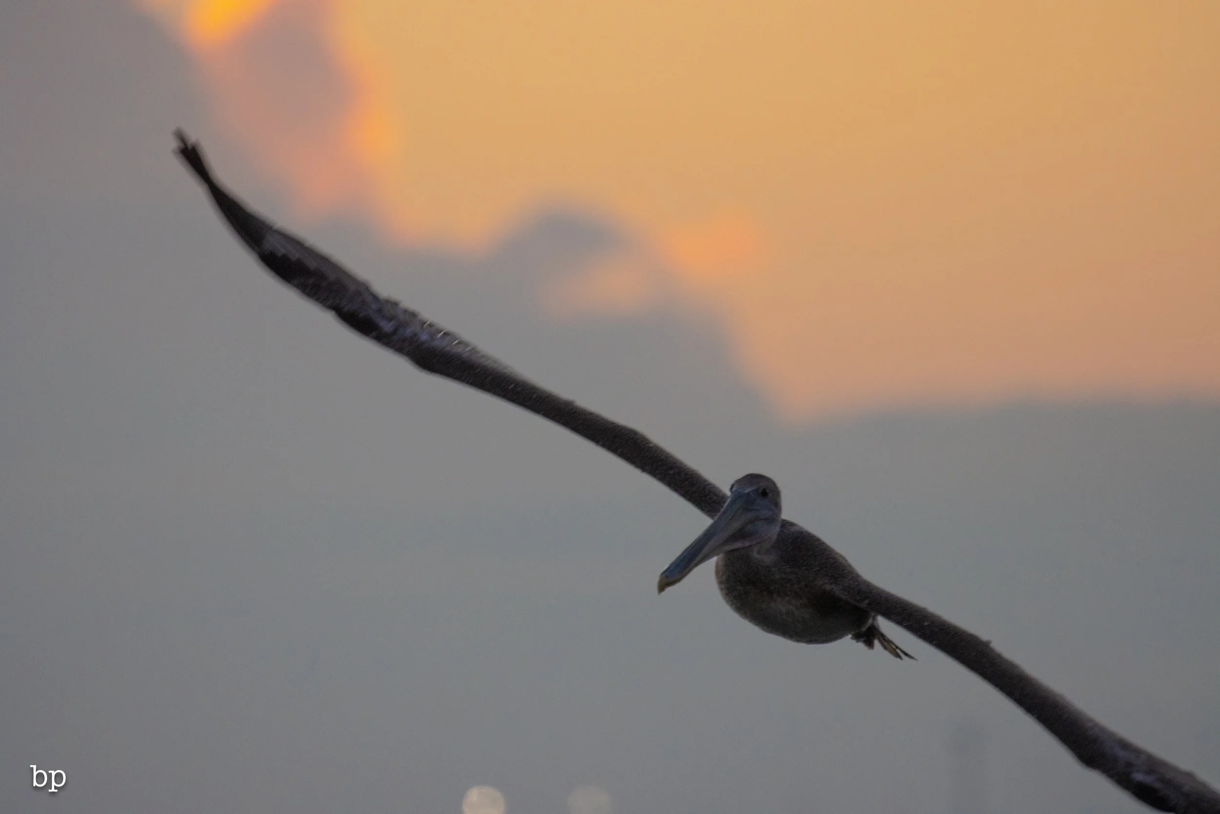 10_23_rise_114 (1 of 1).jpg