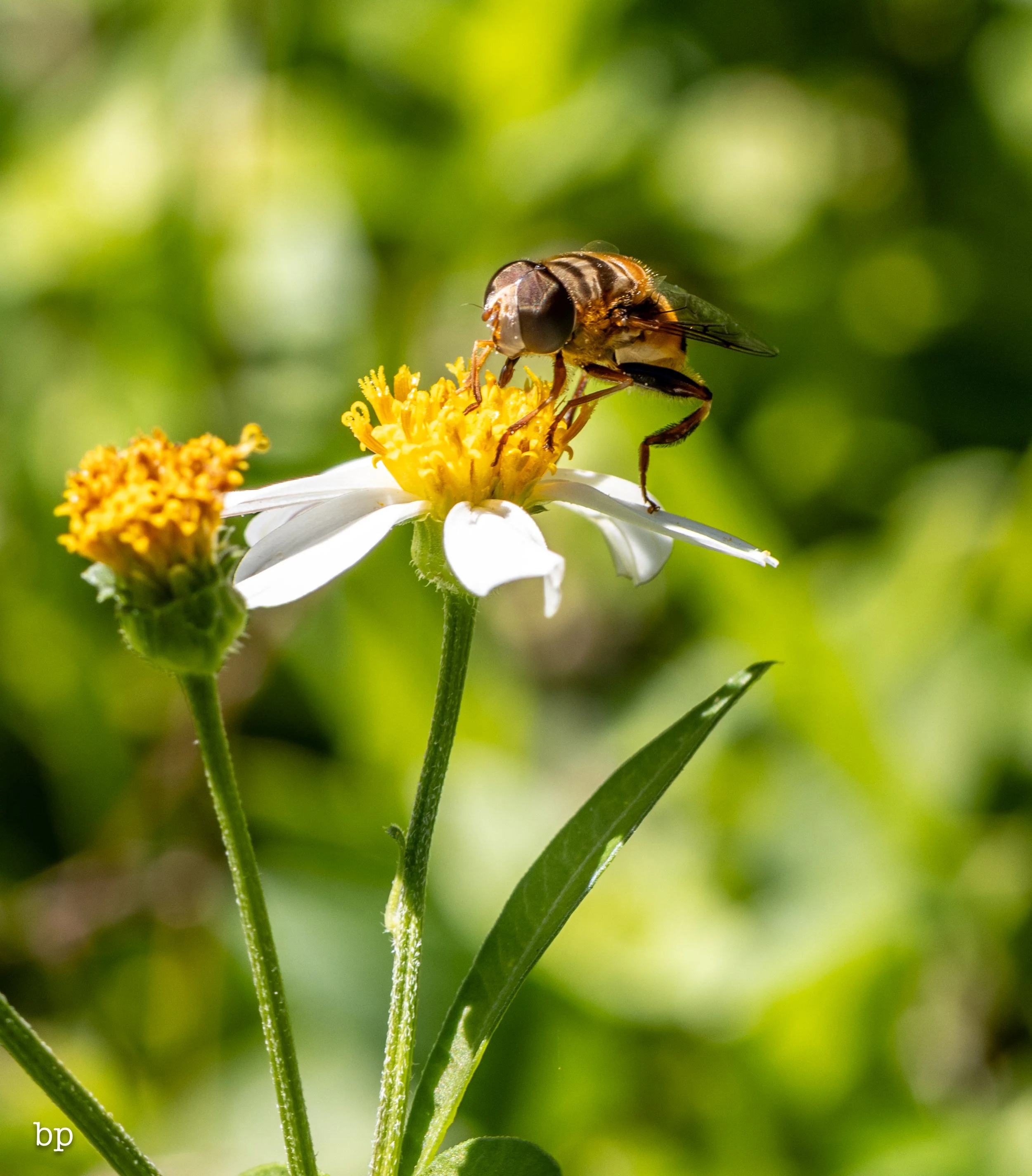 10_28_butter_160 (1 of 1).jpg