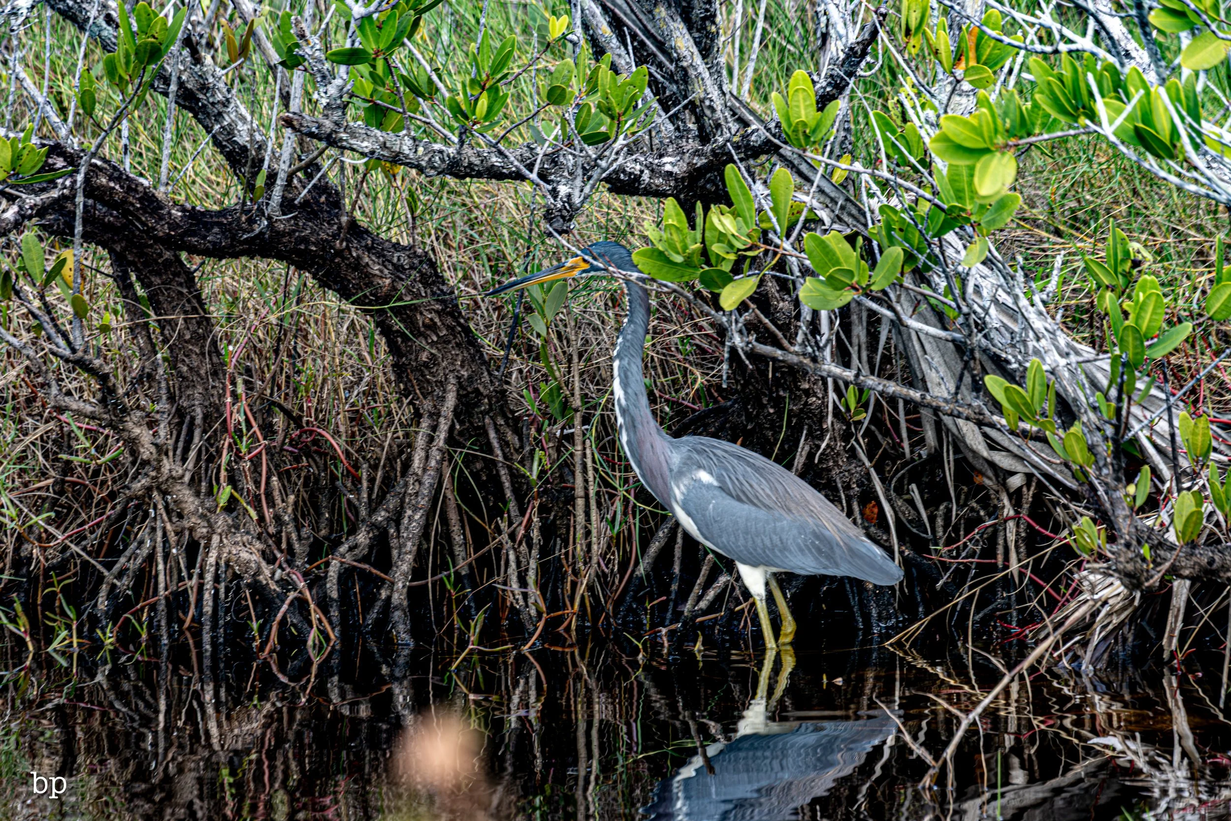 set_1209_cshore_87 (1 of 1).jpg