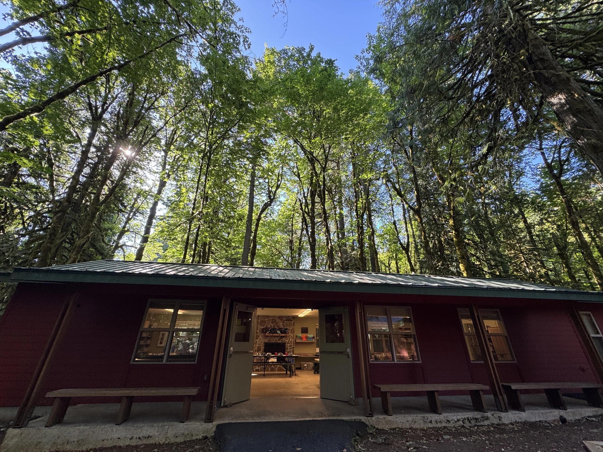 Art, Connection, and the Courage to Ask