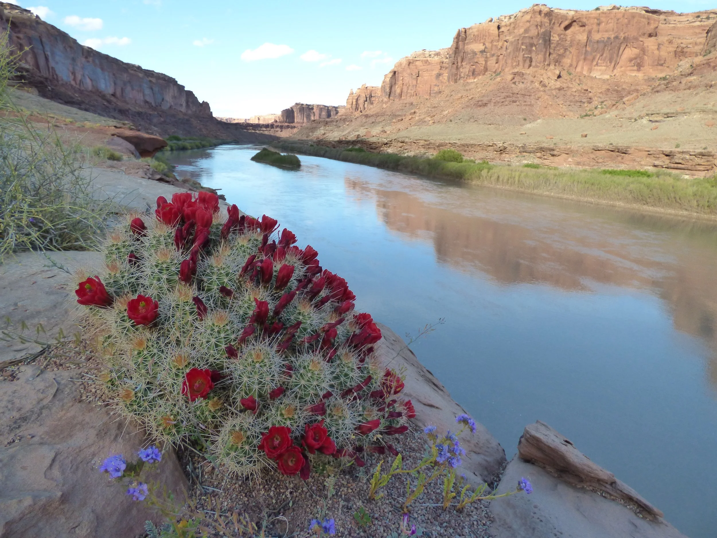2026 Rite of Passage: Labyrinth Canyon, Utah (Dates to be set soon!)