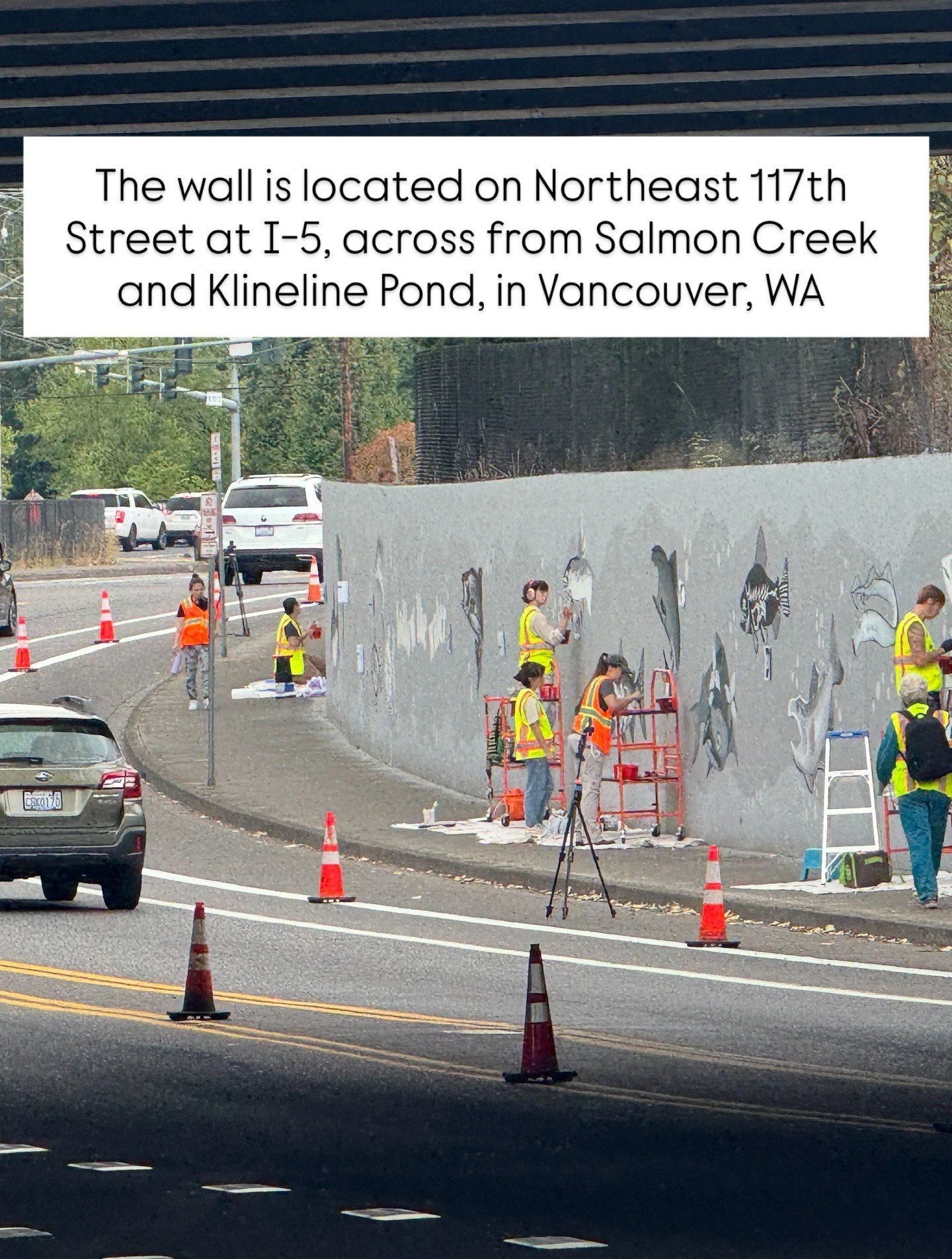 The Salmon Creek MURAL PROJECT