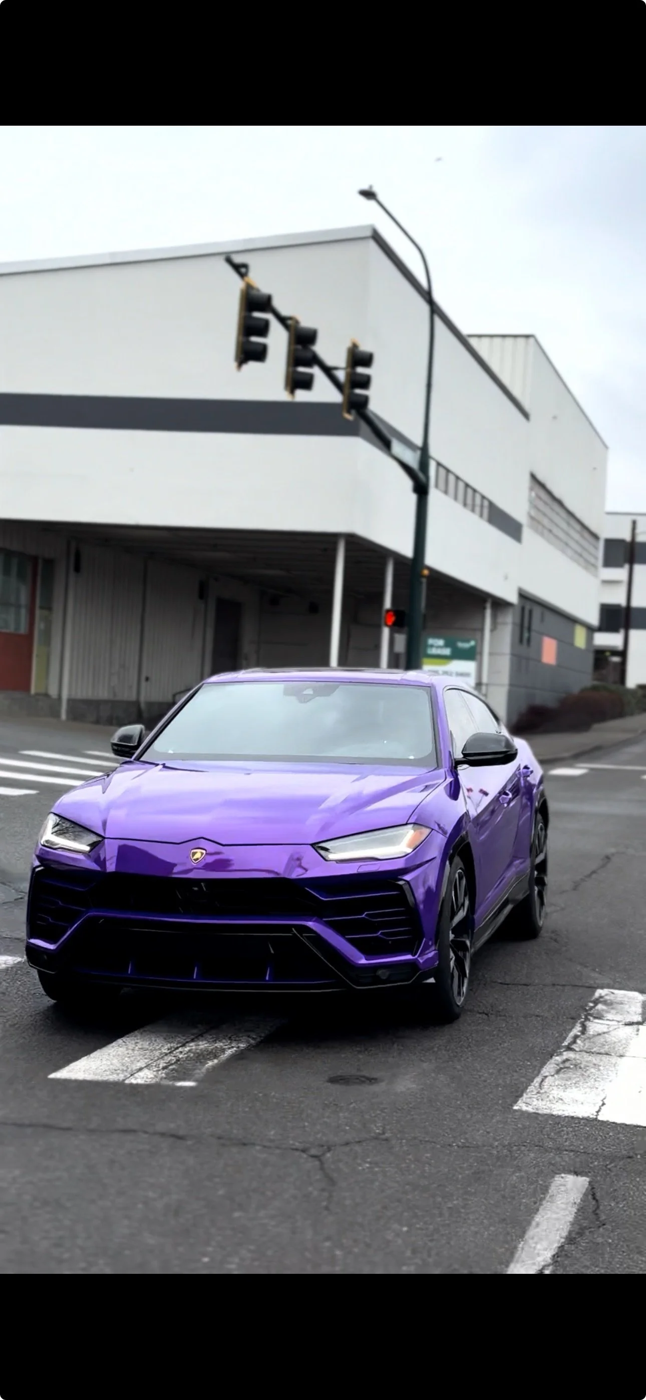 purple - wrap fill BOLD.jpeg