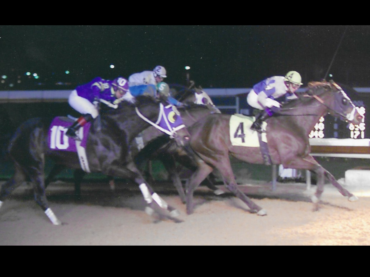 charles town races.png