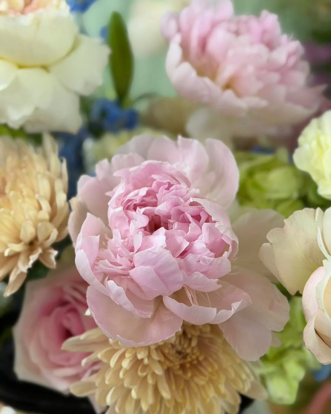 Mother&rsquo;s Day orders close on Friday 🌸