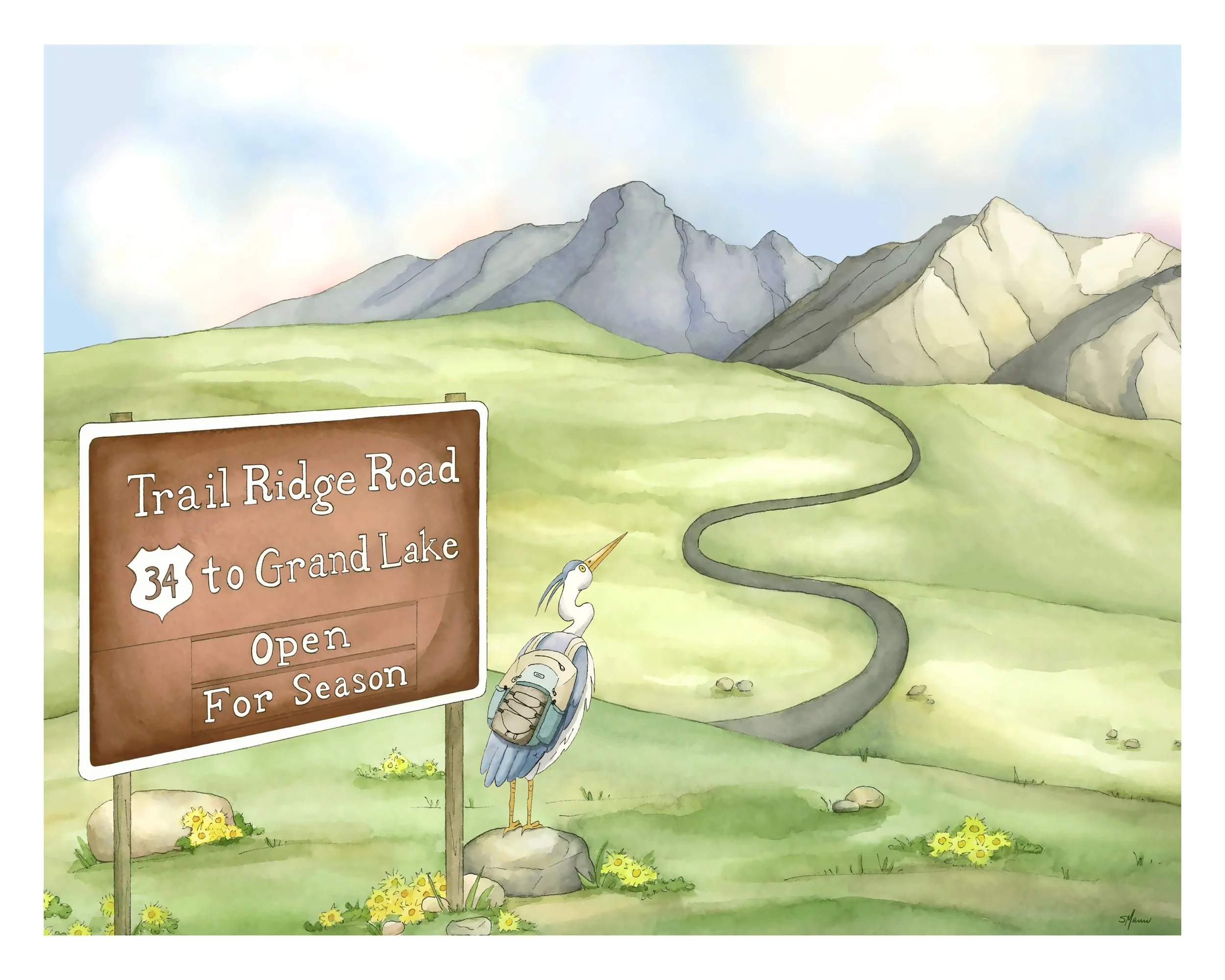 Trail Ridge Road Print