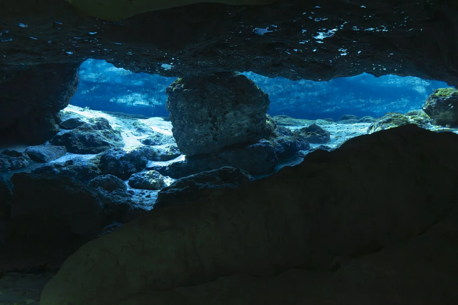 The Ballroom, Ginnie Springs, FL