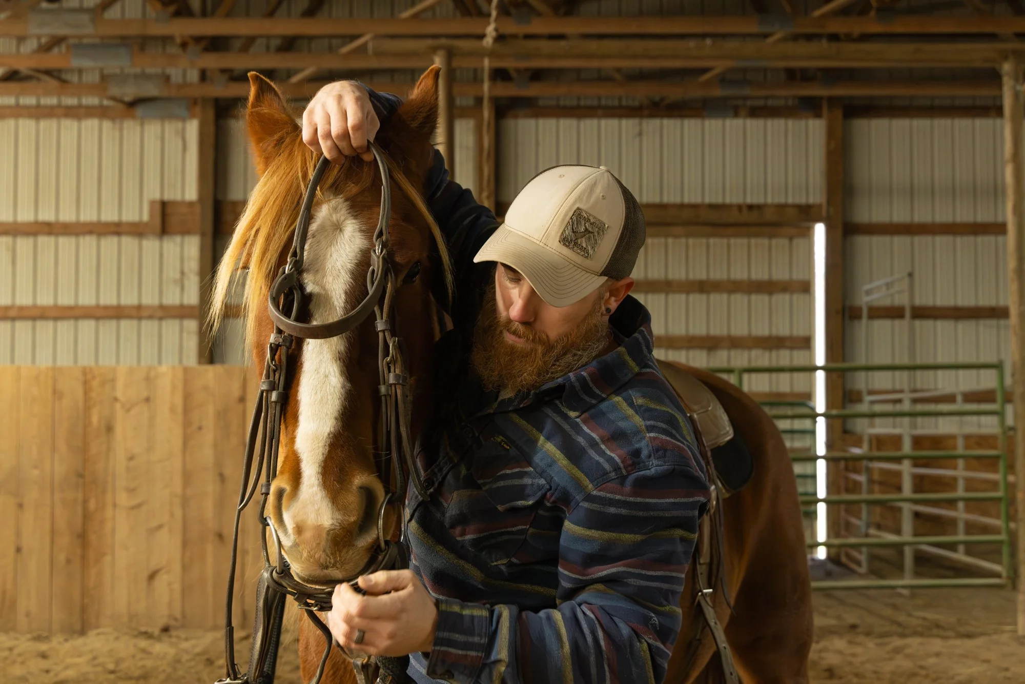 Phil Wytrwa puts a bridle on Northstar at Rose Hill Ranch in Naples, NY