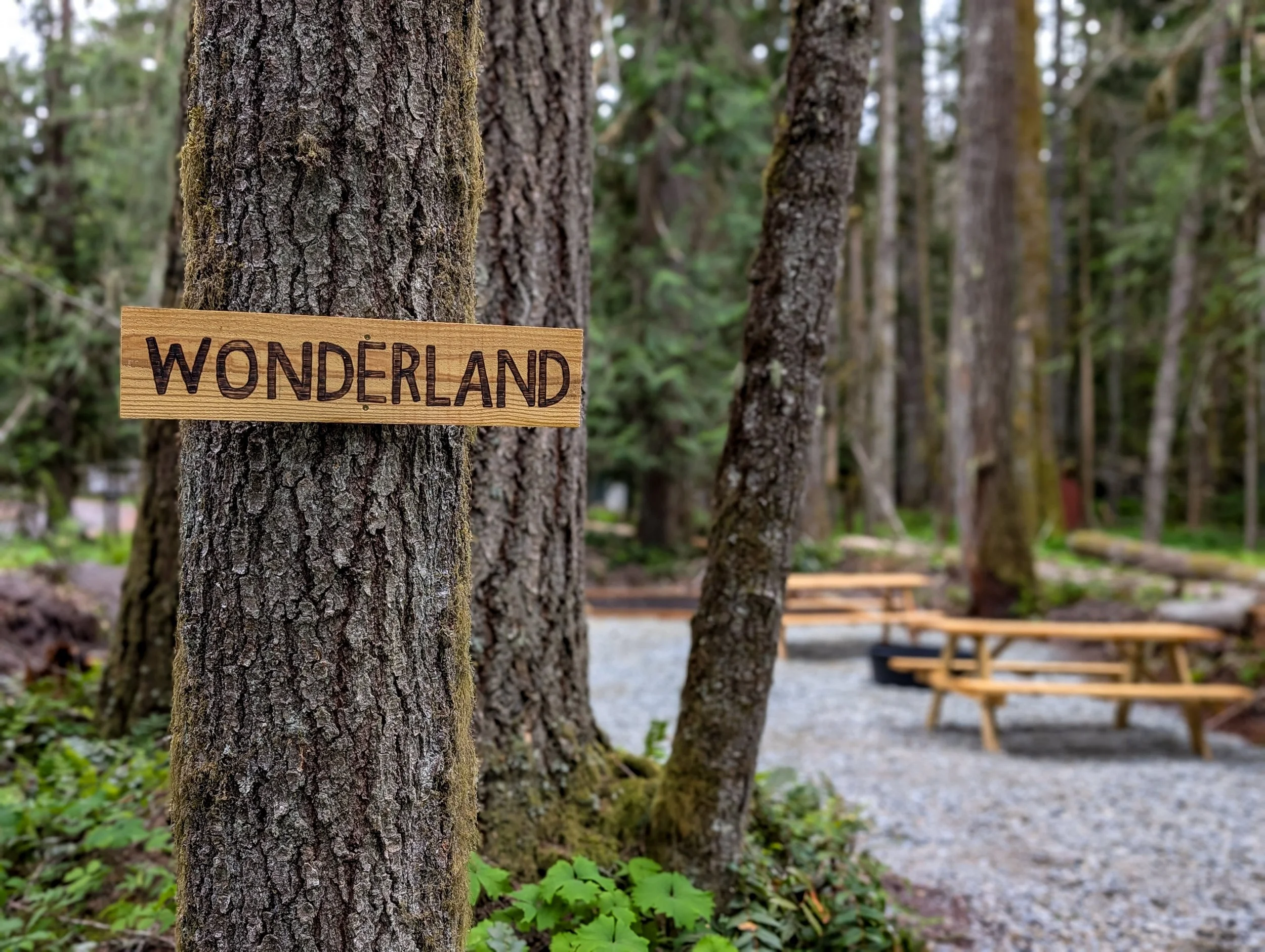 Tree with a wooden sign that says 'Wonderland' in a forest with picnic tables in the background.