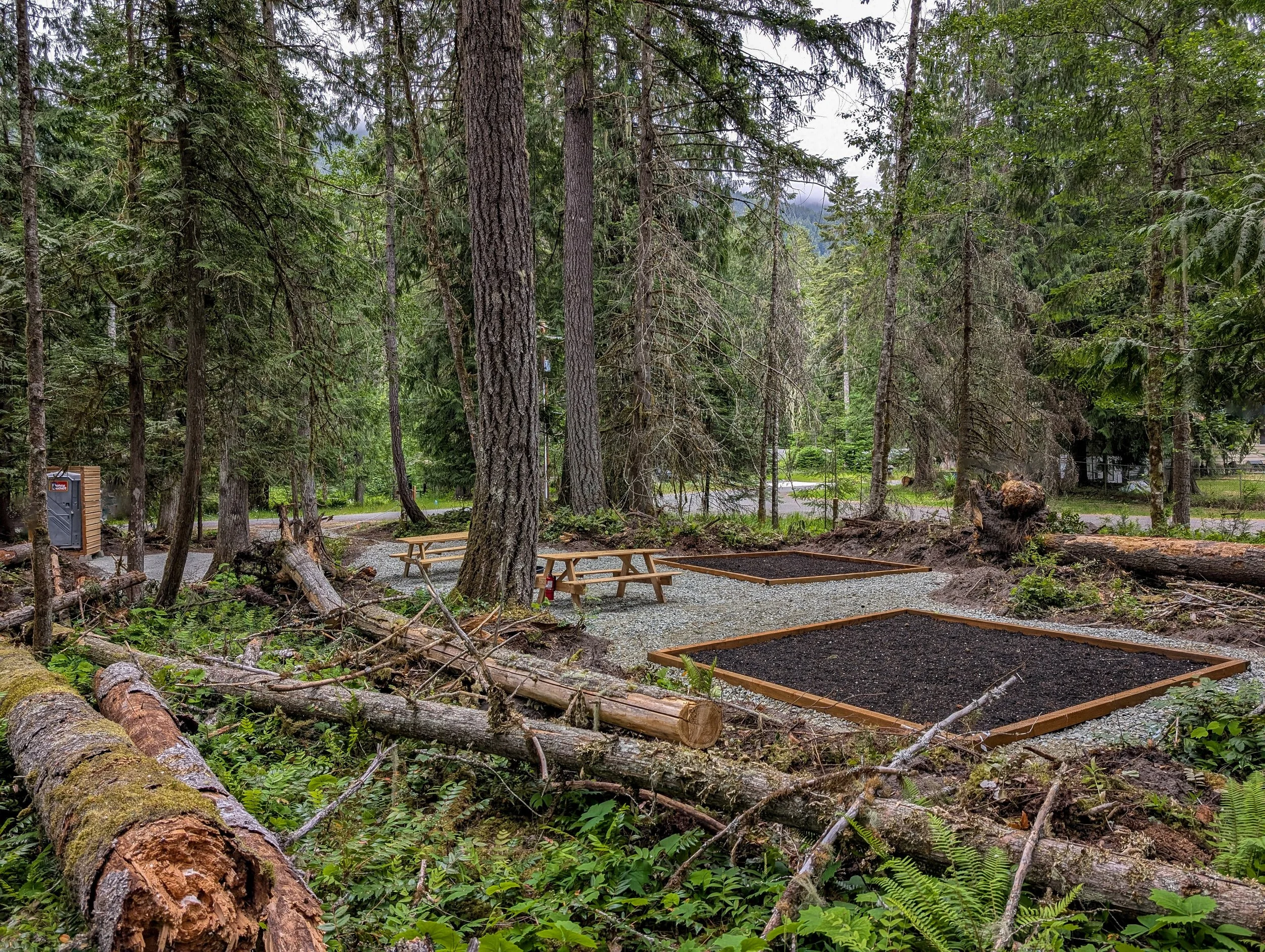Tent pad with dark mulch, surrounded by a forest with tall trees, fallen logs, and a gravel path nearby.