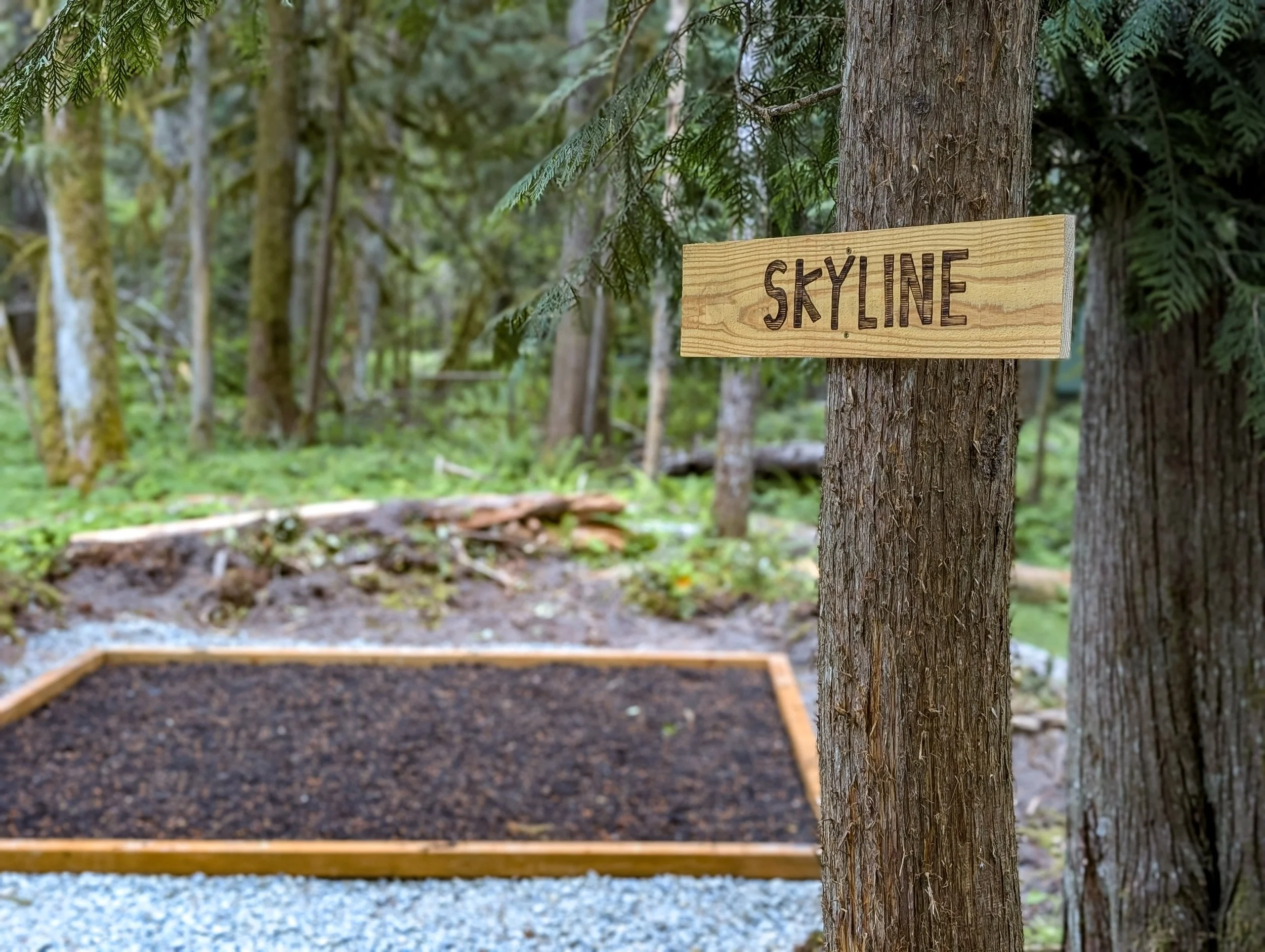 Sign labeled 'Skyline' attached to a tree in a forest, with a prepared planting bed and greenery in the background.