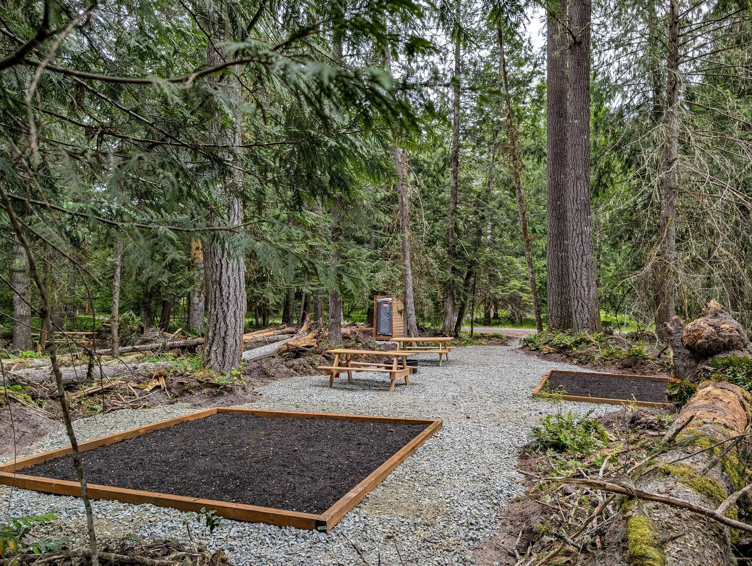 A forest trail with two gravel paths, outdoor picnic tables, and a portable toilet in a wooded area.