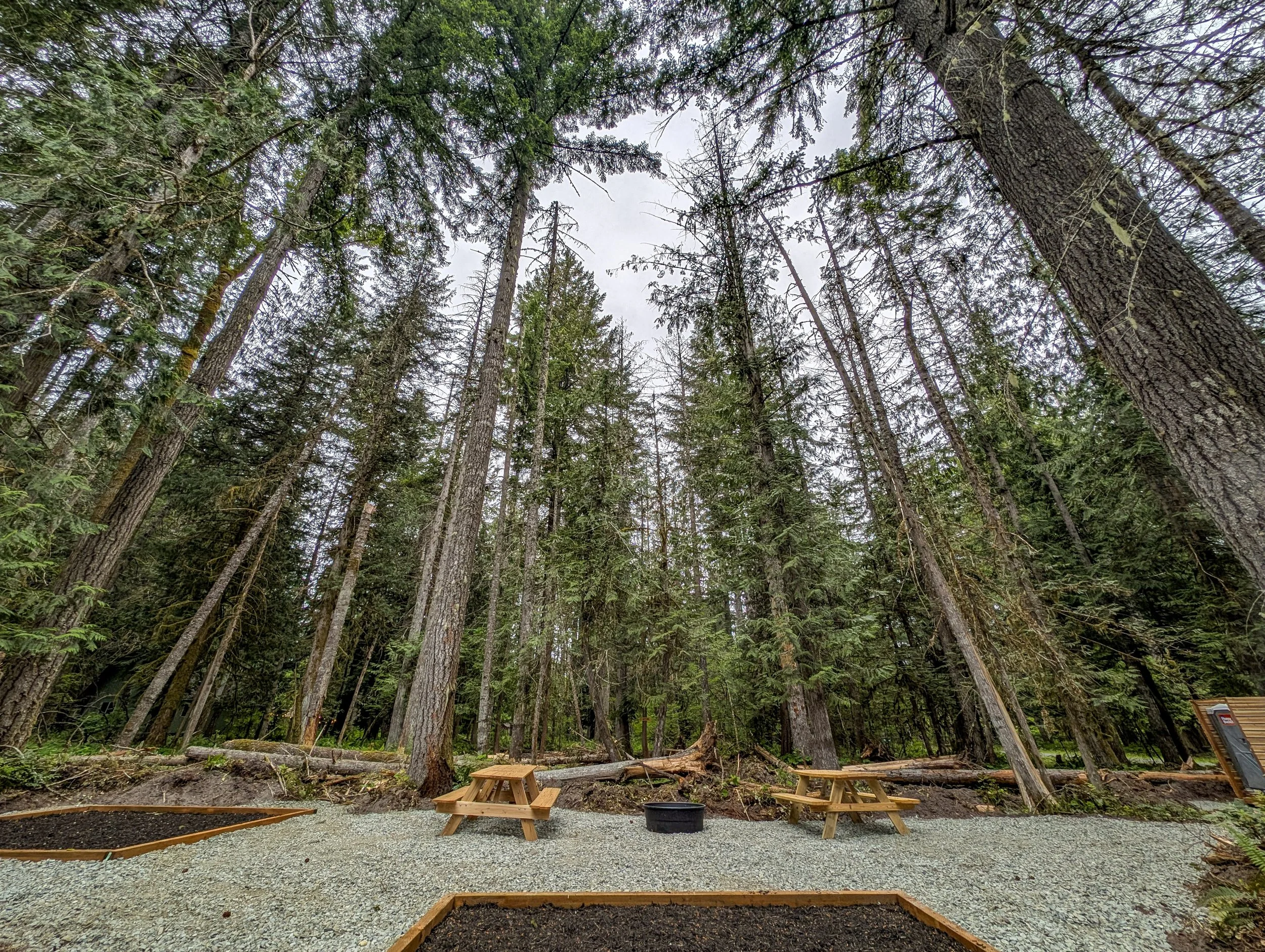 Forest with tall trees, wooden picnic tables, gravel ground, and informational signs.