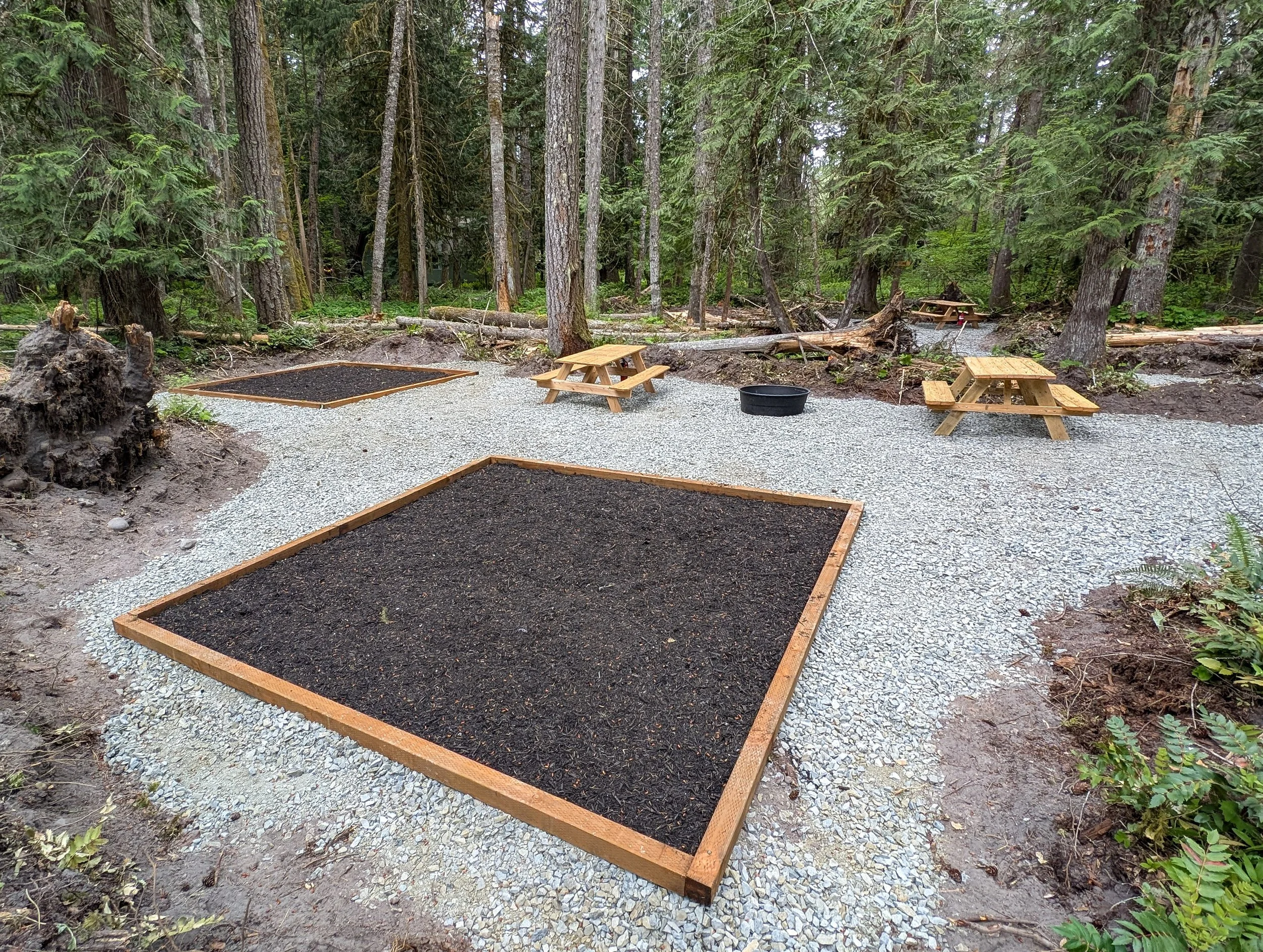 Three tent pads with black mulch, surrounded by gravel, in a forest clearing with picnic tables and trees