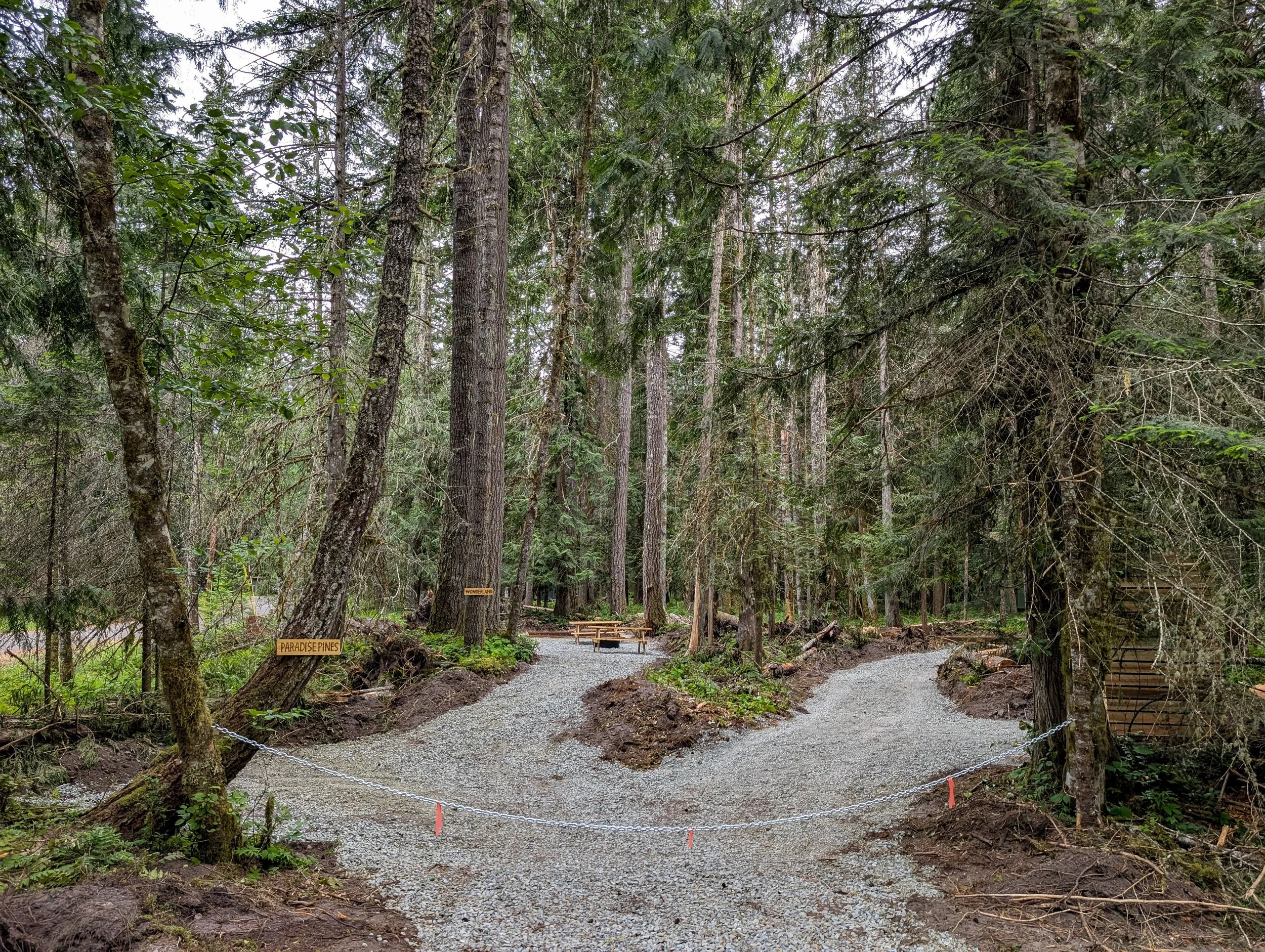 A forest trail with gravel path, surrounded by tall trees, some signs, and a picnic table in the background.