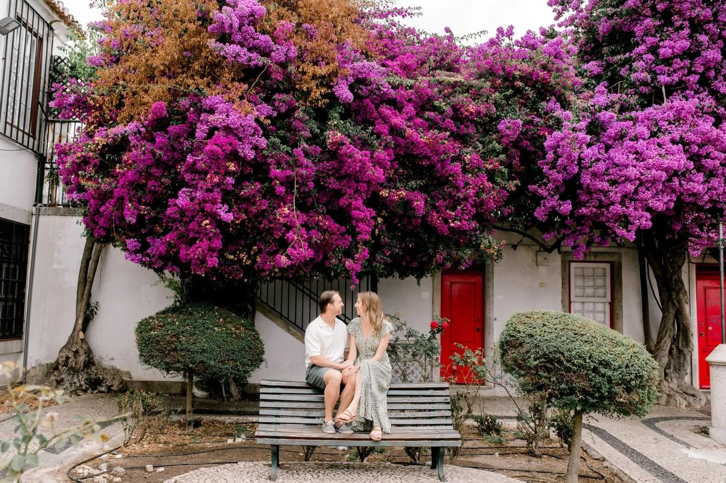 Em breve, um mar de cor invade Lisboa&hellip; ainda mais Lisbonita! 💛 🇬🇧 Soon Lisbon will be in full bloom witth all its splendour. Cannot wait! #lisbonphotographer #lisbonshoot #lisbonfamilyphotographer