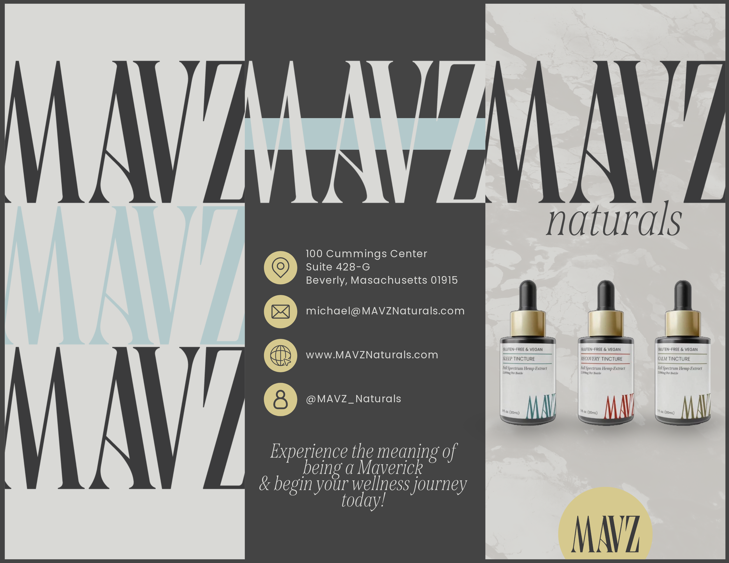 KJDesign_MAVS_Brochure_Draft3-2.png