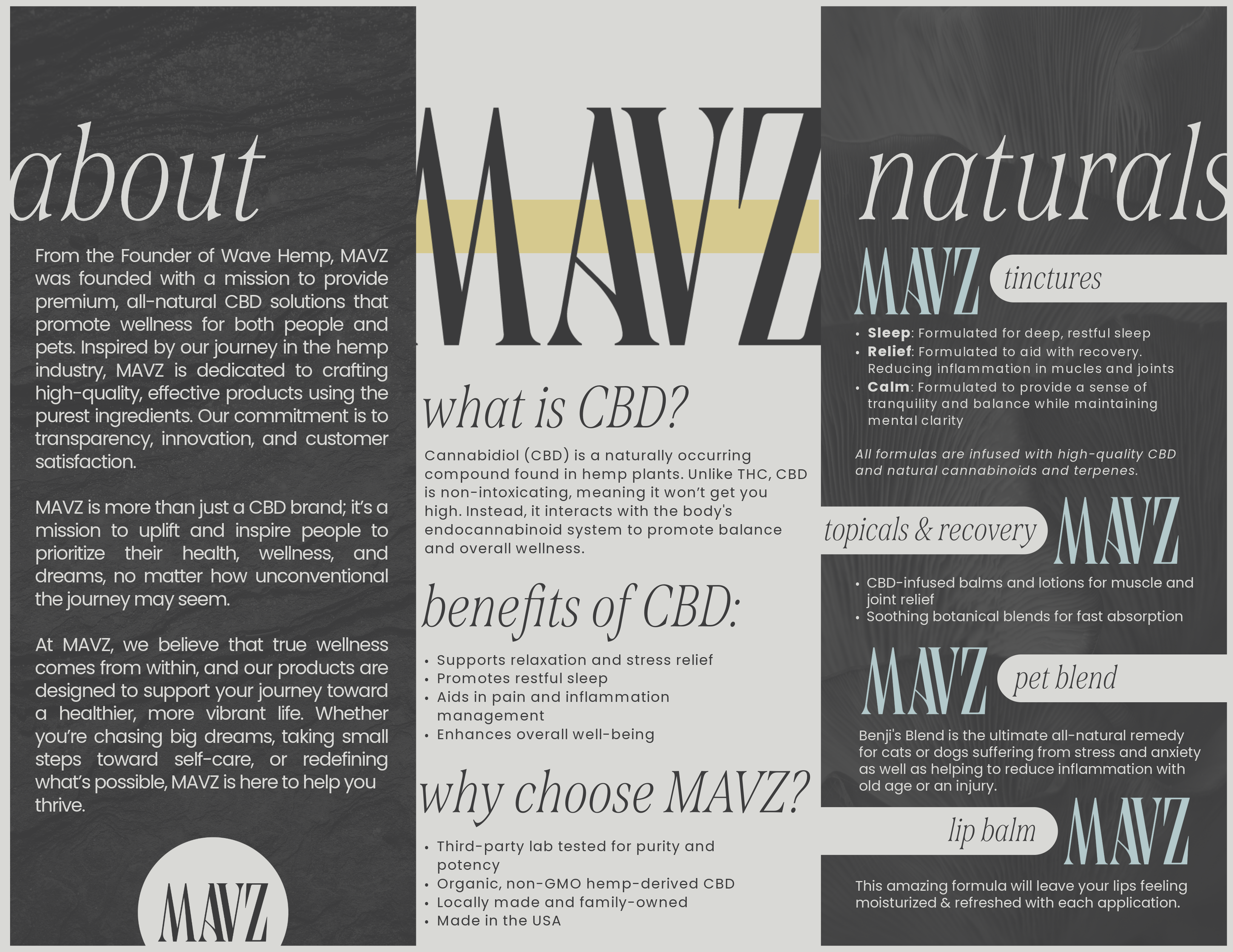 KJDesign_MAVS_Brochure_Draft3-1.png