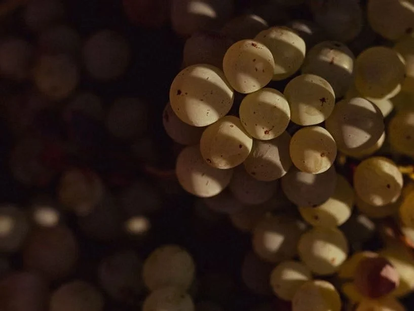 ORI Wine