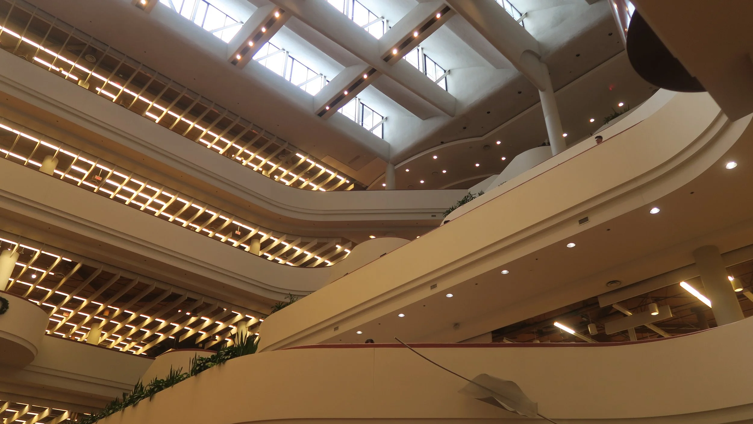 The Reference Library is my favourite branch. 