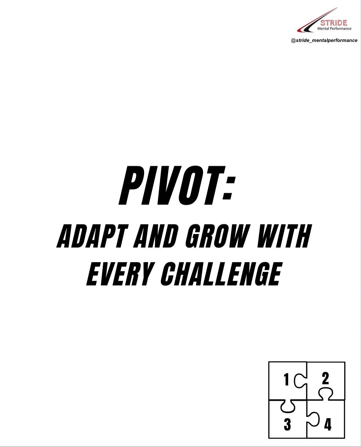 My Approach: Part 4️⃣

When faced with adversity, having the ability to adapt is critical 

Pivoting, or shifting our approach, after a setback allows us to learn and make improvements

Reflecting on different aspects of our journey, like our process