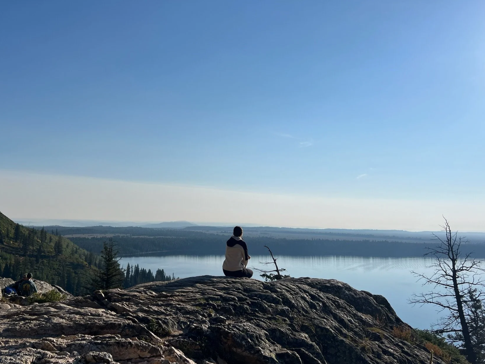 Take the Wheel: Drive Your Nervous System Car