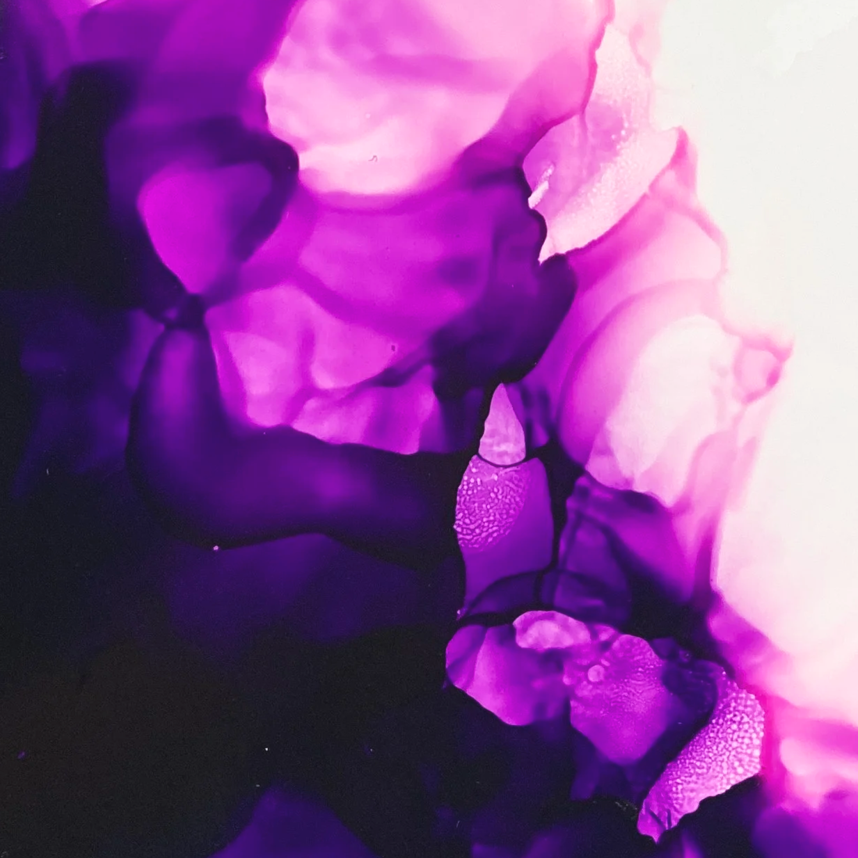 IMG_5049.png