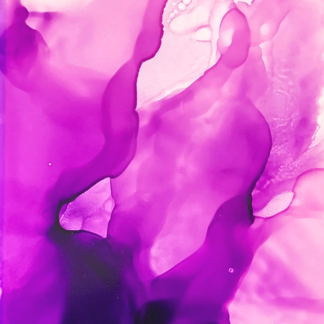 IMG_5049.png