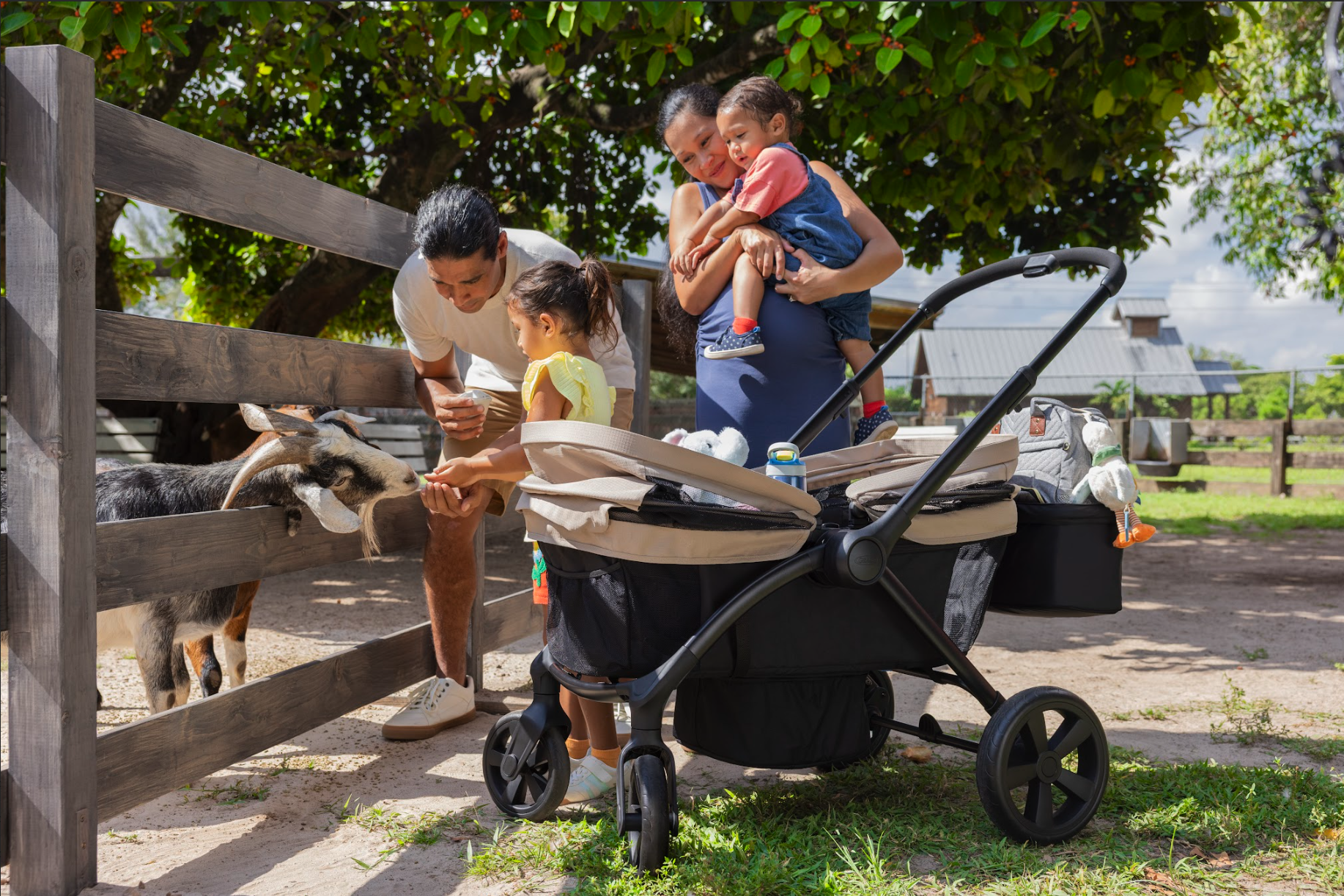Family at farm zoo, feeding goat. Child, woman, man, and young girl with stroller, outdoors with trees, fencing, farm structures.