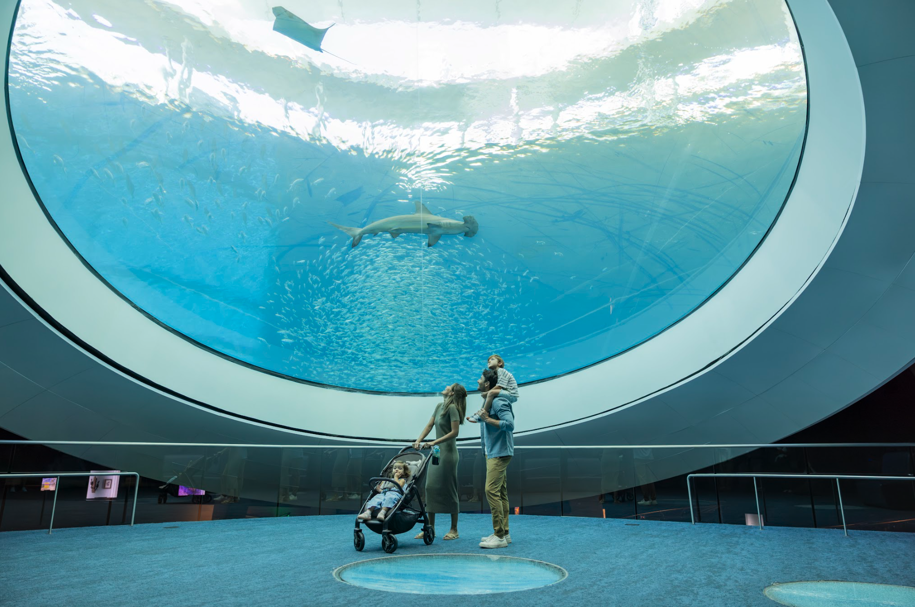 A family of four with a stroller looks up at a large aquatic exhibit window featuring sharks and a school of fish swimming inside an aquarium.