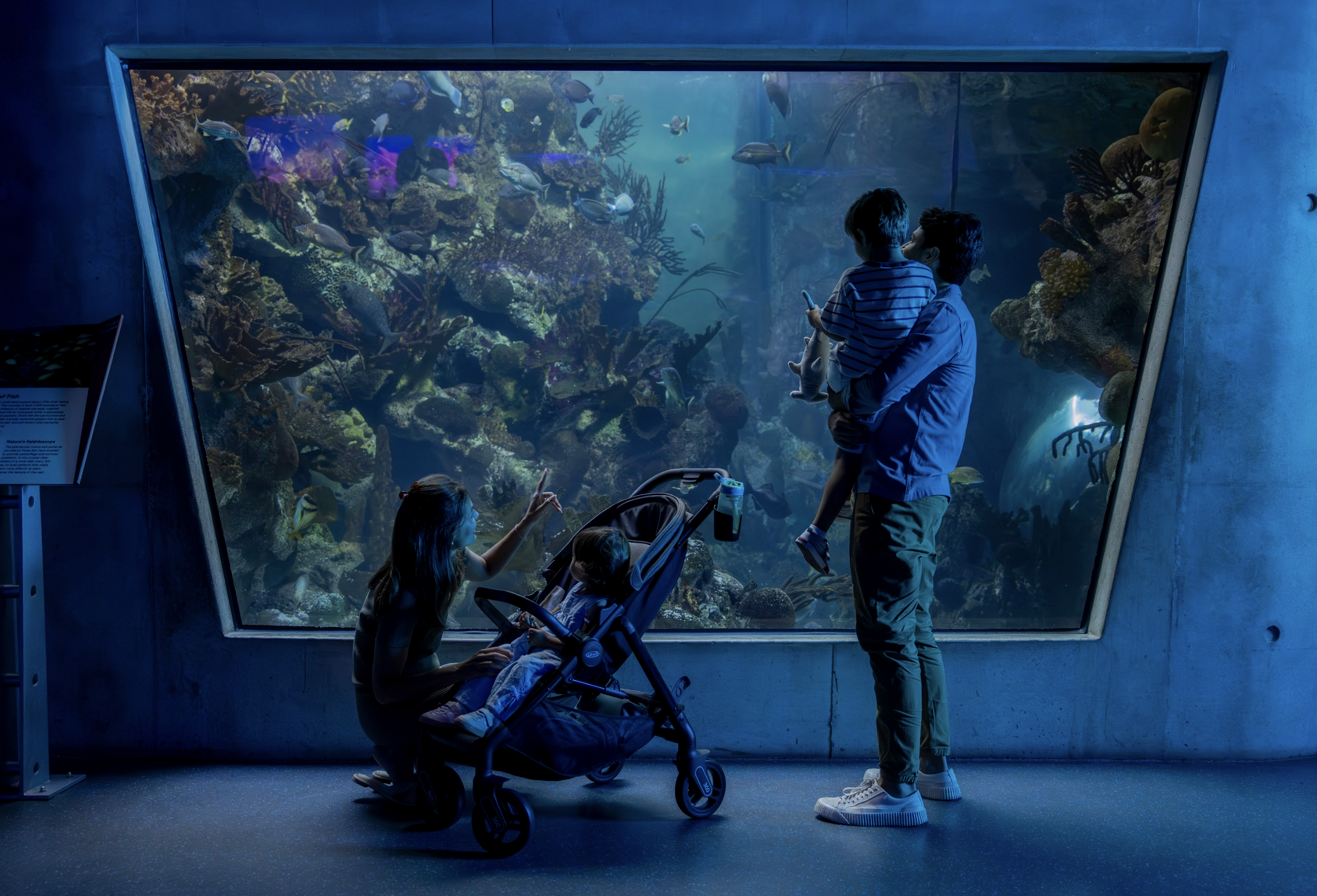 Family of four viewing an underwater aquarium exhibit with colorful fish and coral, including a young child and a mother in a stroller, inside a modern building.