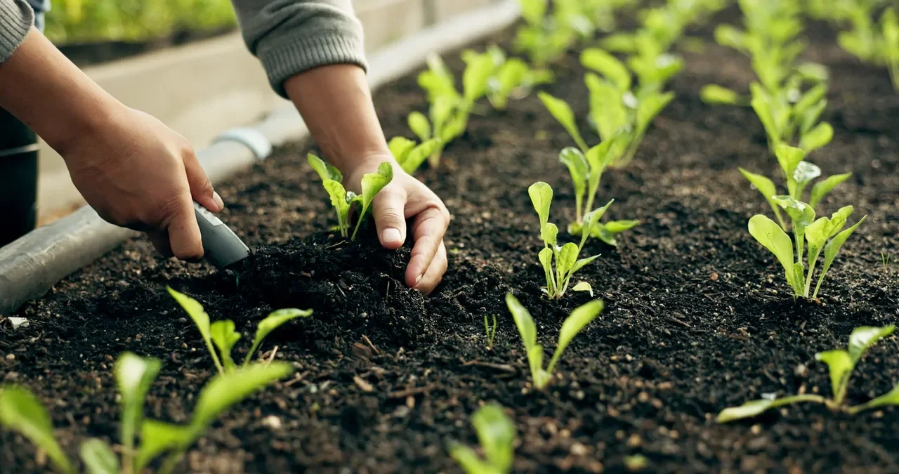 Refresh Your Soil &amp; Prep Your Garden for Spring